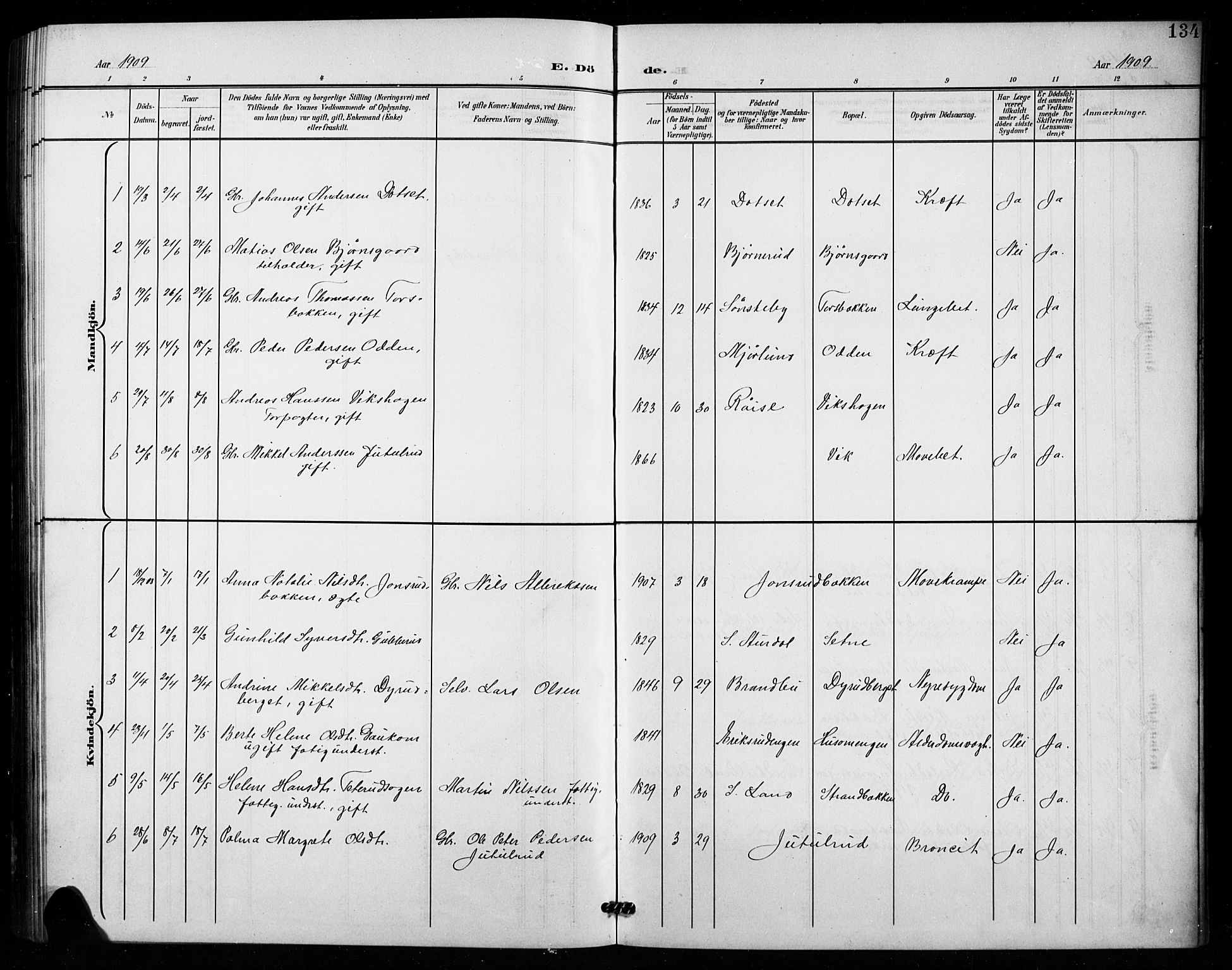 Vestre Toten prestekontor, AV/SAH-PREST-108/H/Ha/Hab/L0016: Parish register (copy) no. 16, 1901-1915, p. 134