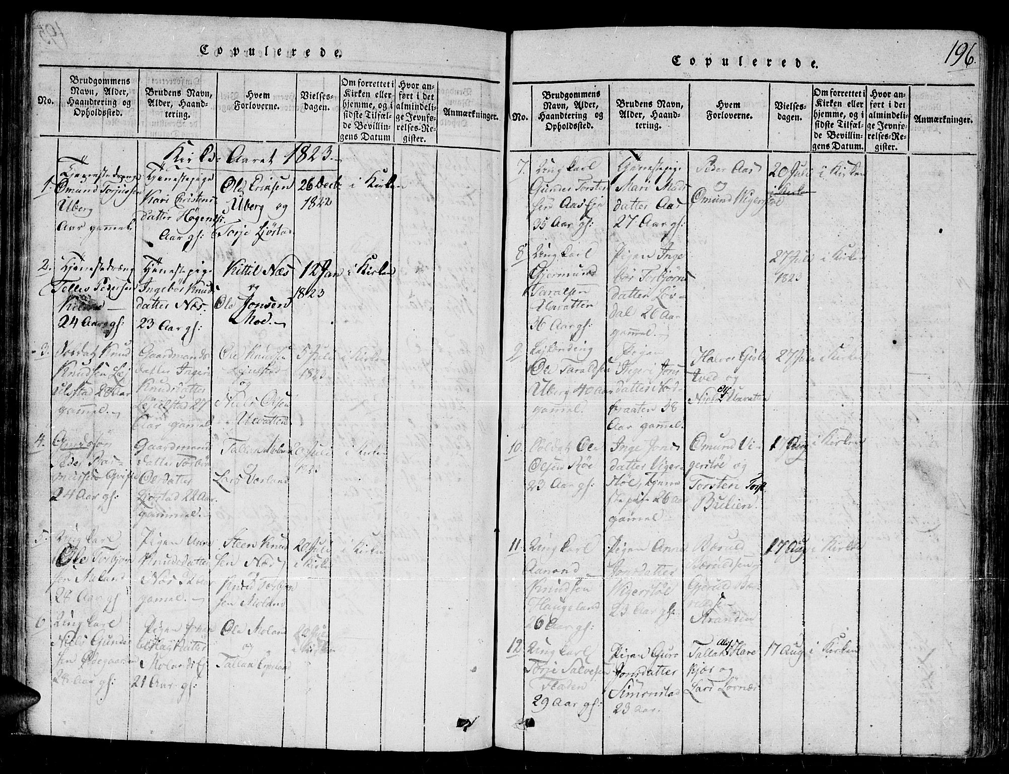 Gjerstad sokneprestkontor, SAK/1111-0014/F/Fb/Fbb/L0001: Parish register (copy) no. B 1, 1813-1863, p. 196