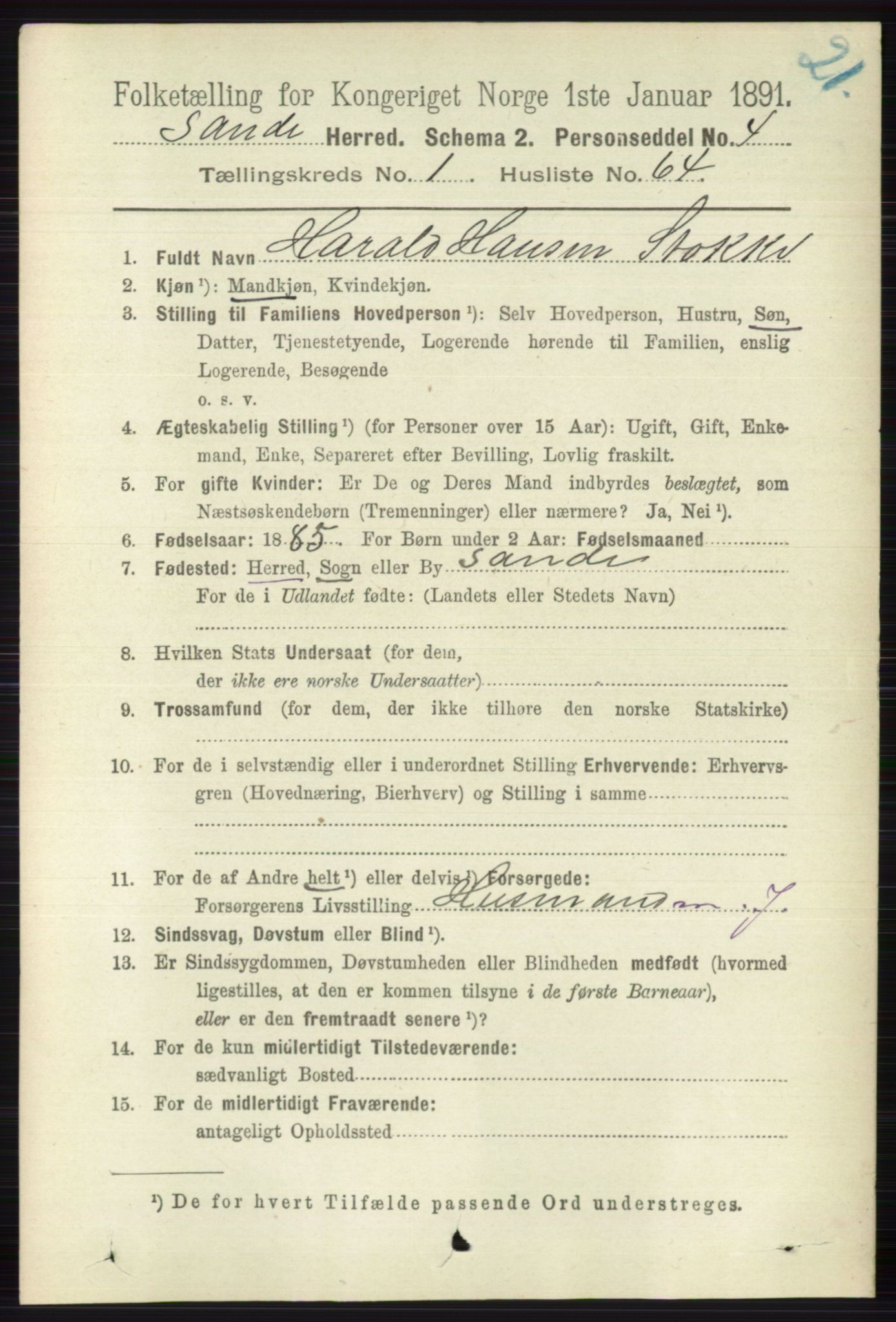 RA, 1891 census for 0713 Sande, 1891, p. 464