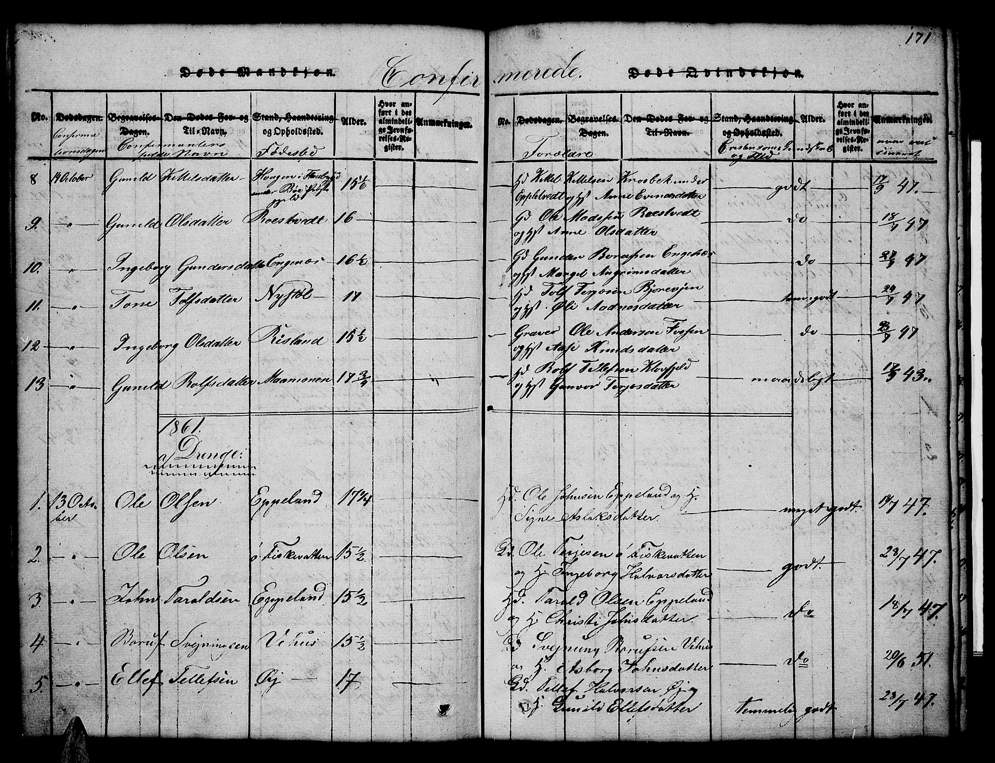 Åmli sokneprestkontor, AV/SAK-1111-0050/F/Fb/Fbc/L0001: Parish register (copy) no. B 1, 1816-1867, p. 171