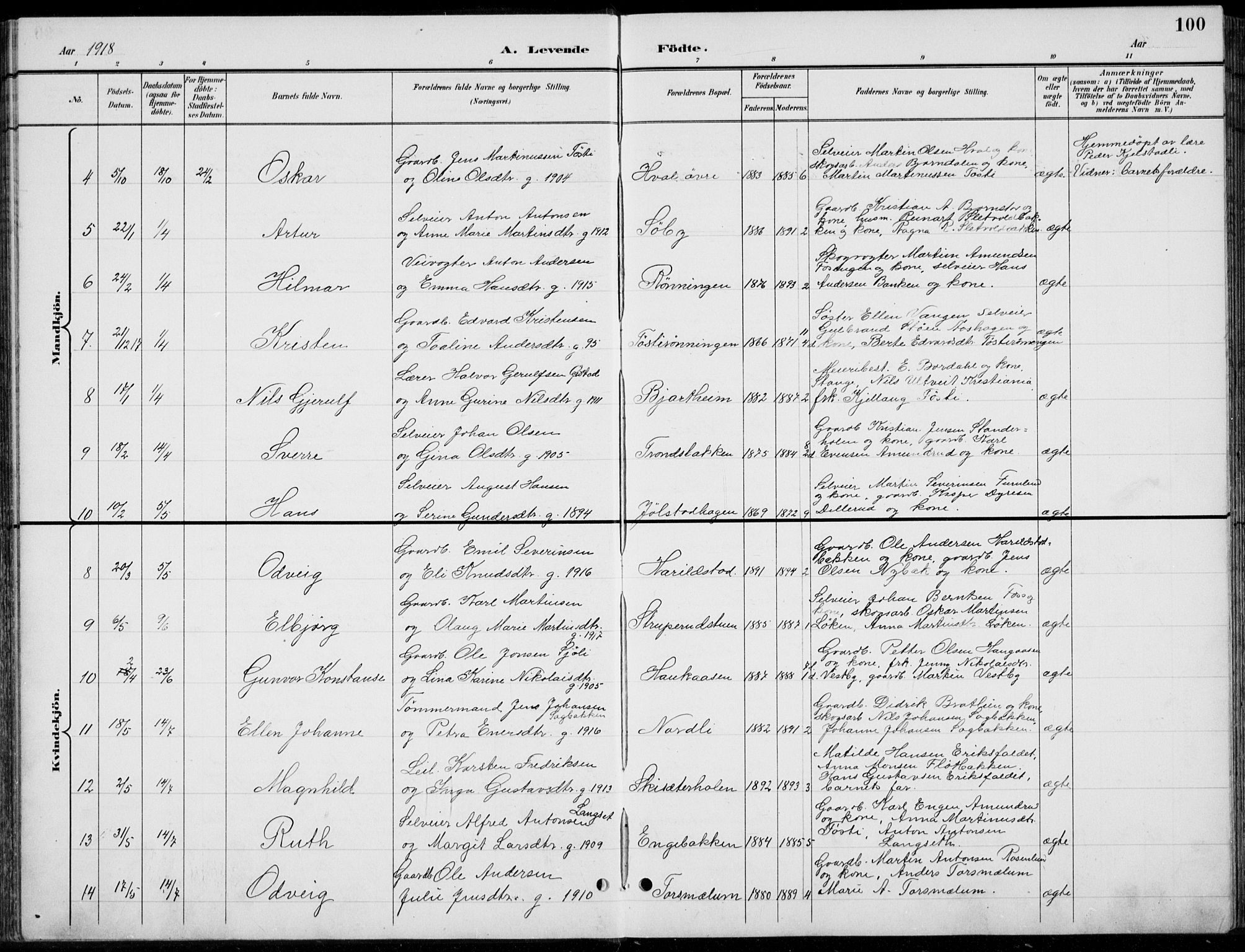 Romedal prestekontor, AV/SAH-PREST-004/L/L0013: Parish register (copy) no. 13, 1896-1937, p. 100