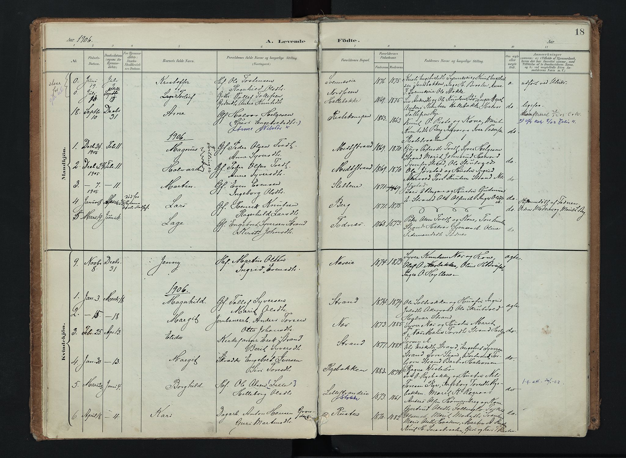 Nord-Aurdal prestekontor, SAH/PREST-132/H/Ha/Haa/L0016: Parish register (official) no. 16, 1897-1925, p. 18
