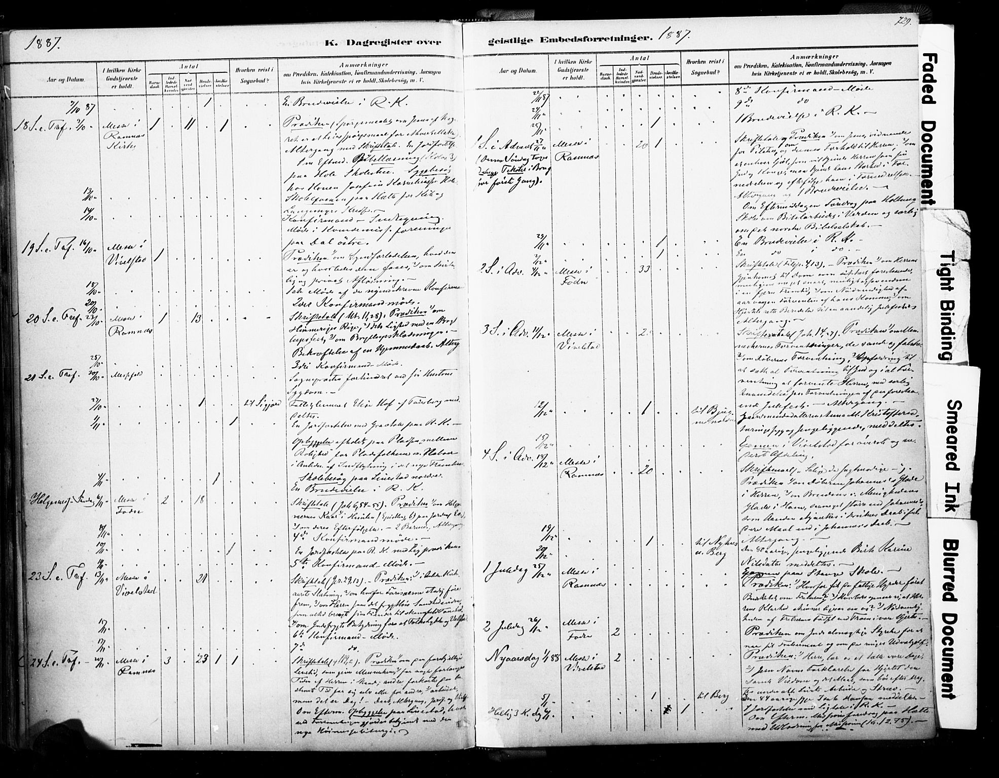 Ramnes kirkebøker, AV/SAKO-A-314/F/Fa/L0007: Parish register (official) no. I 7, 1878-1895, p. 728-729