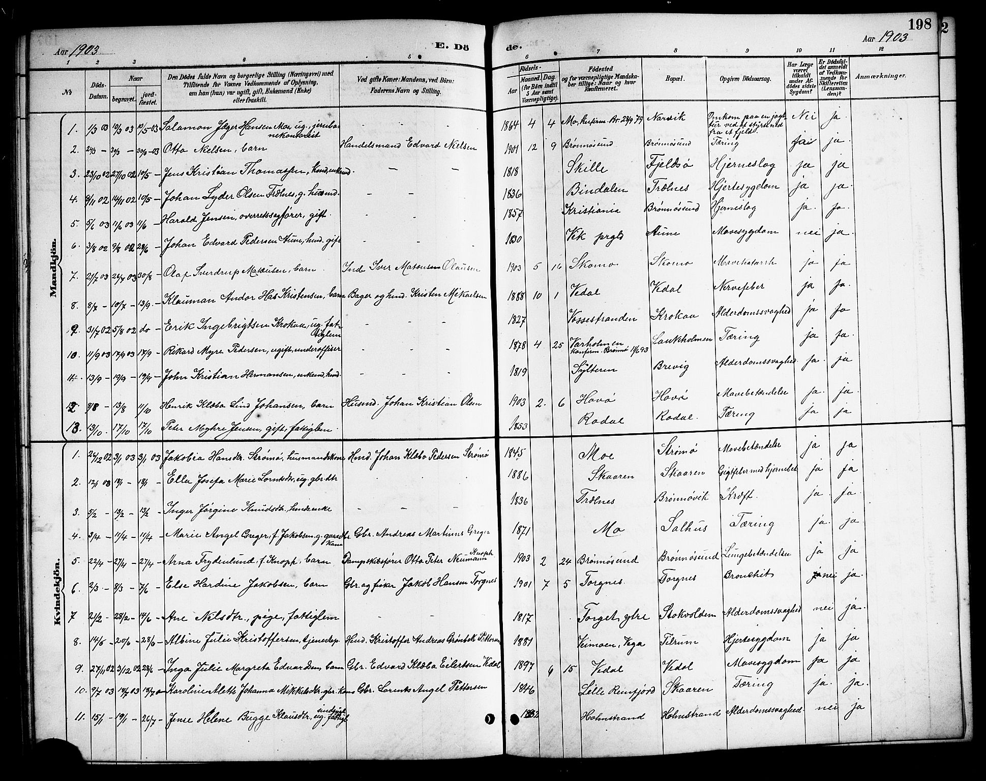 Ministerialprotokoller, klokkerbøker og fødselsregistre - Nordland, SAT/A-1459/813/L0213: Parish register (copy) no. 813C05, 1887-1903, p. 198