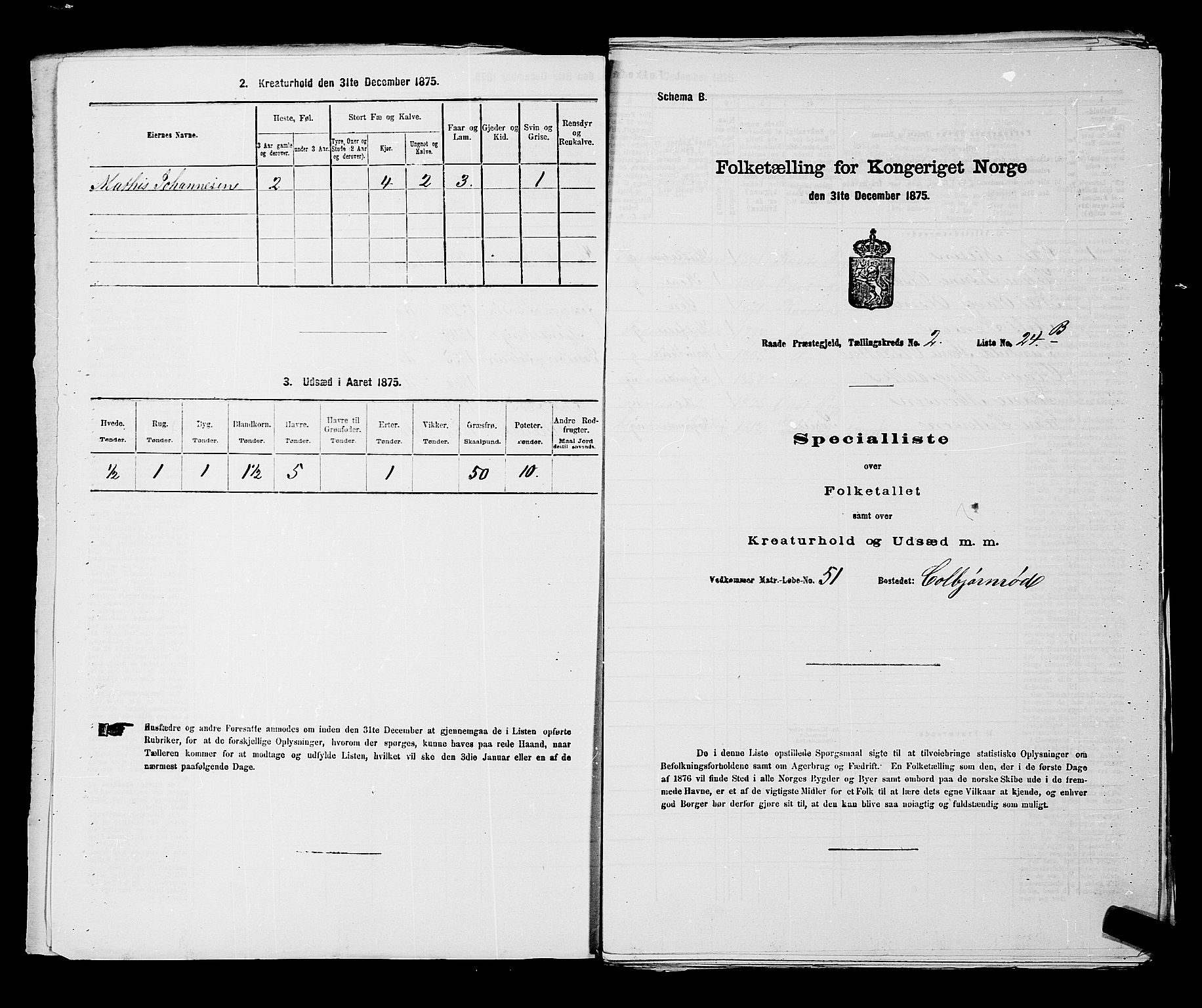 RA, 1875 census for 0135P Råde, 1875, p. 517