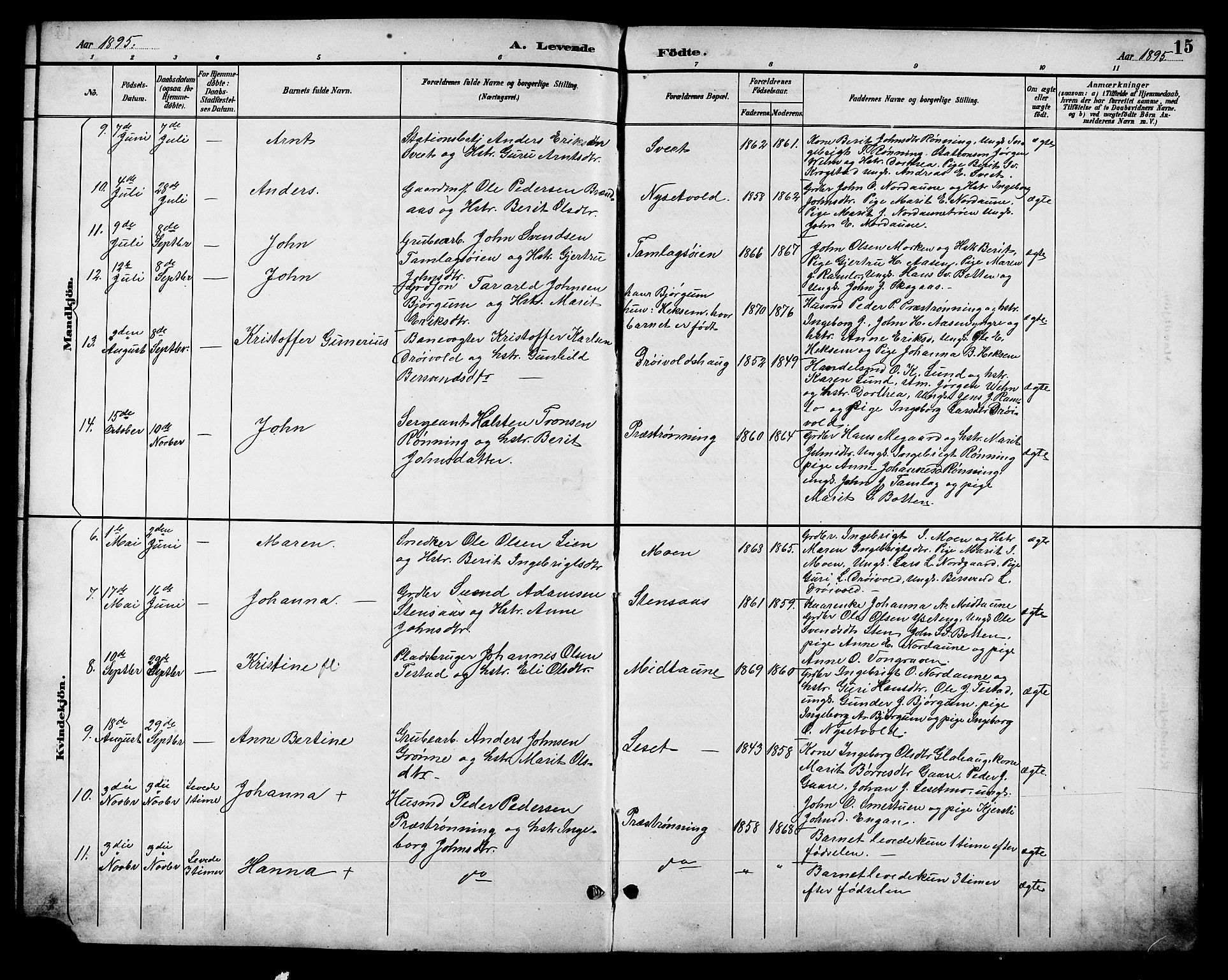 Ministerialprotokoller, klokkerbøker og fødselsregistre - Sør-Trøndelag, AV/SAT-A-1456/685/L0978: Parish register (copy) no. 685C03, 1891-1907, p. 15