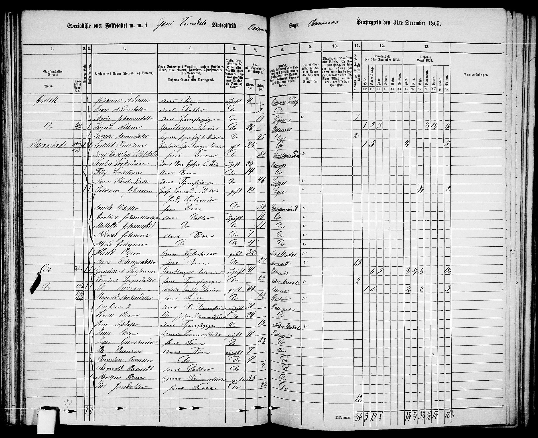 RA, 1865 census for Oddernes, 1865, p. 62