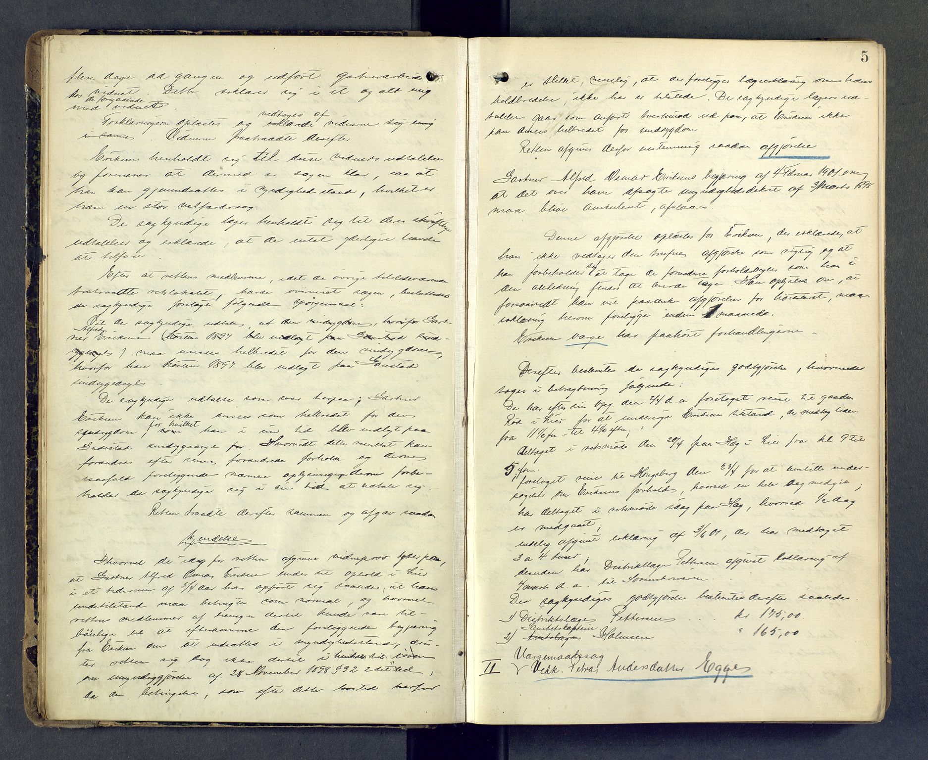 Lier, Røyken og Hurum sorenskriveri, AV/SAKO-A-89/F/Fc/Fcc/L0002: Ekstrarettsprotokoll, 1901-1903, p. 5