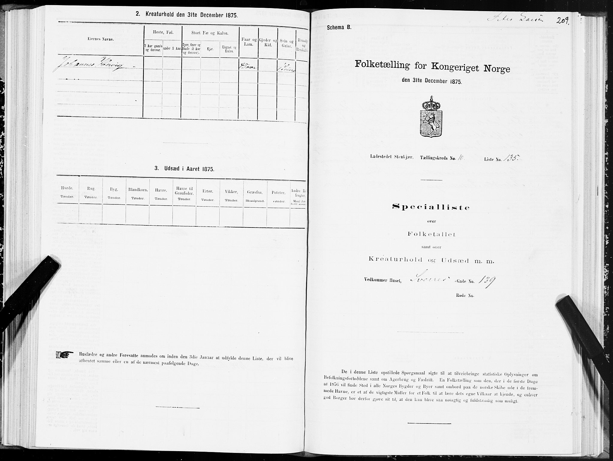 SAT, 1875 census for 1702B Steinkjer/Steinkjer, 1875, p. 209
