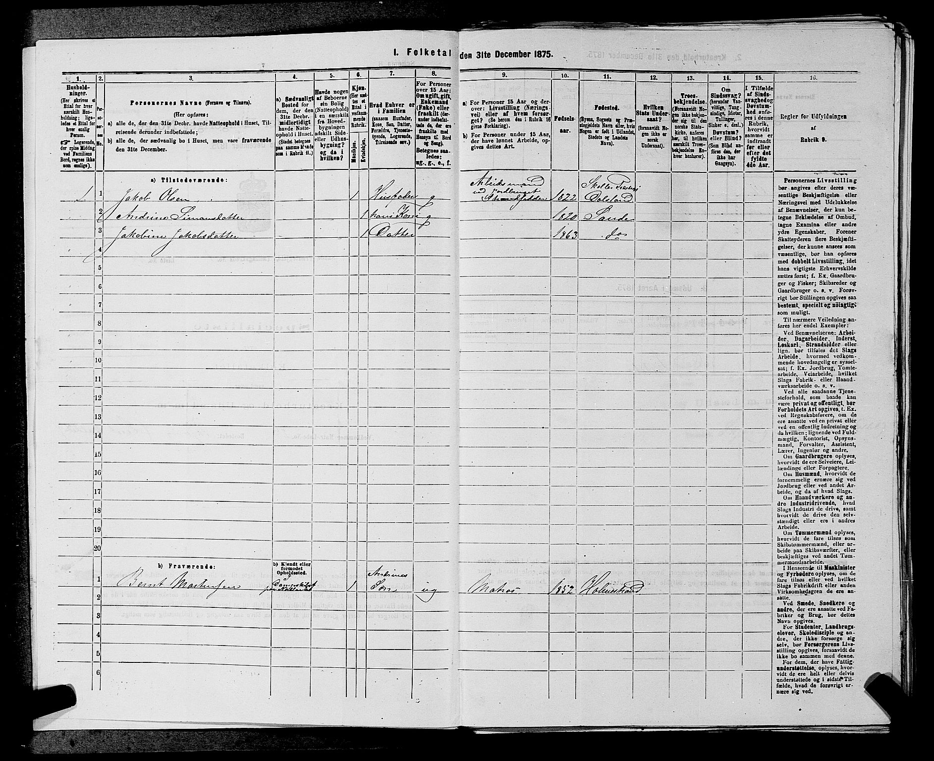 SAKO, 1875 census for 0713P Sande, 1875, p. 51