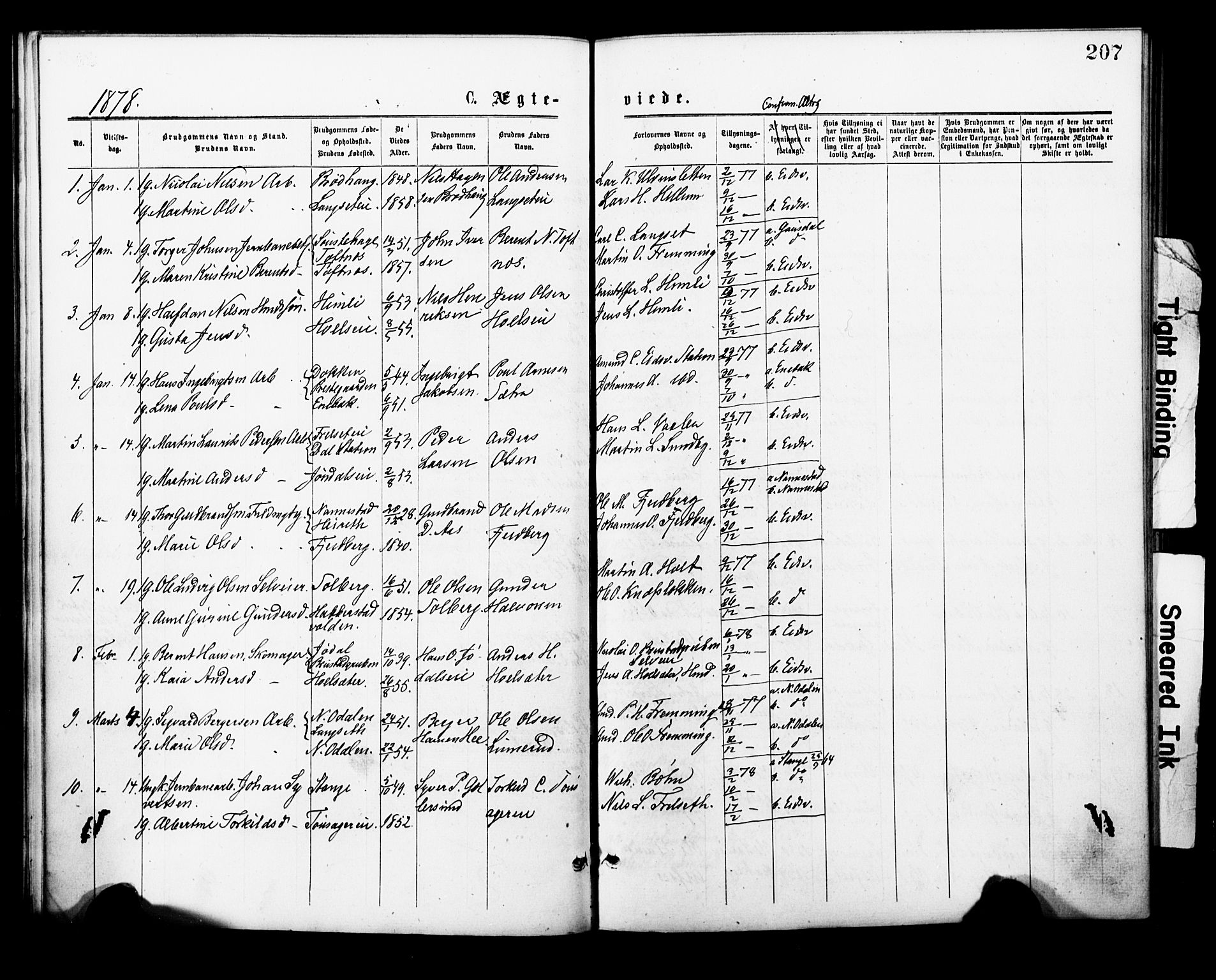 Eidsvoll prestekontor Kirkebøker, SAO/A-10888/F/Fa/L0001: Parish register (official) no. I 1, 1877-1881, p. 207