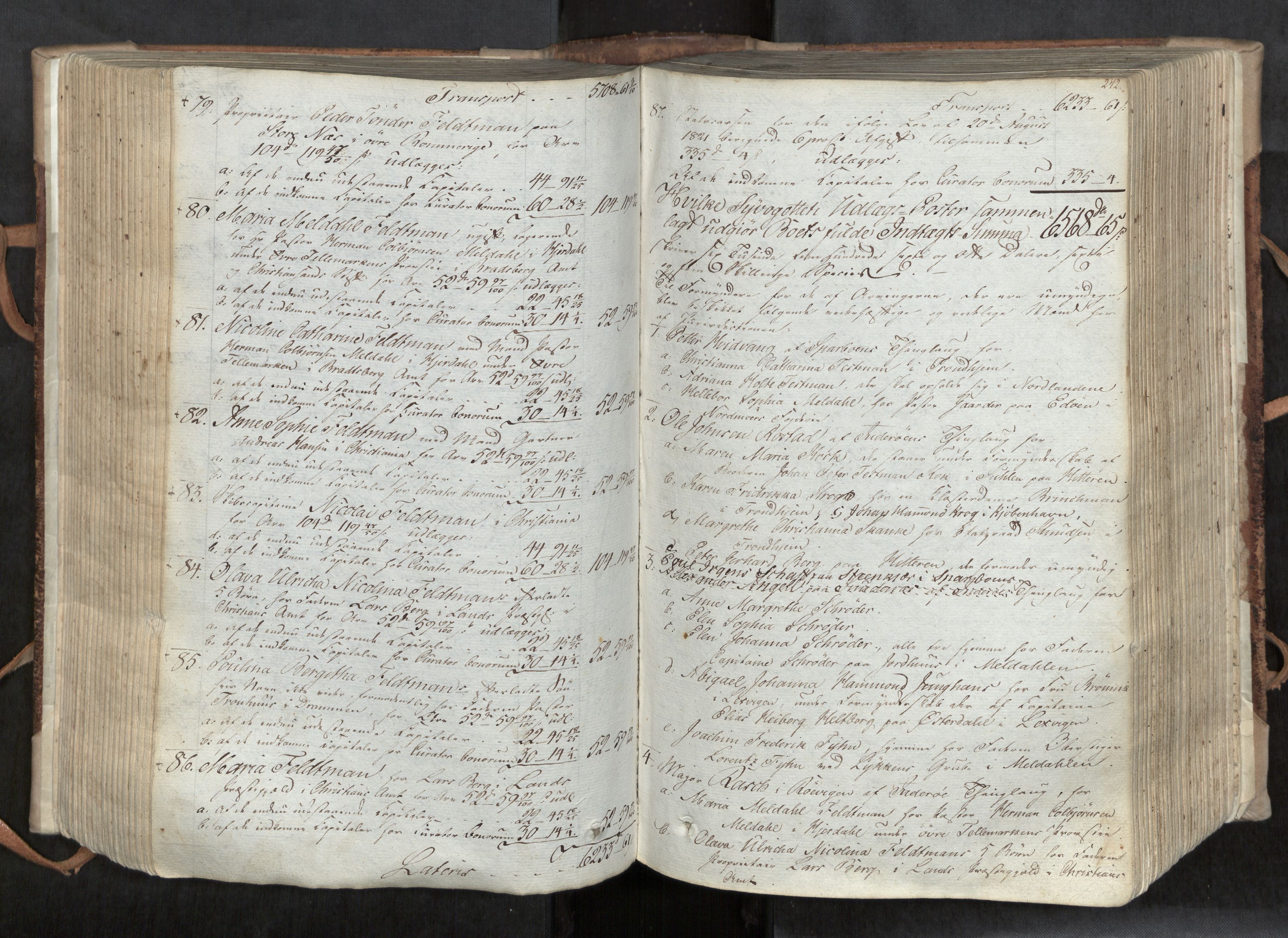 Inderøy sorenskriveri, AV/SAT-A-4147/1/3/3B/L0001: Skifteforhandlingsprotokoll, 1806-1843, p. 242