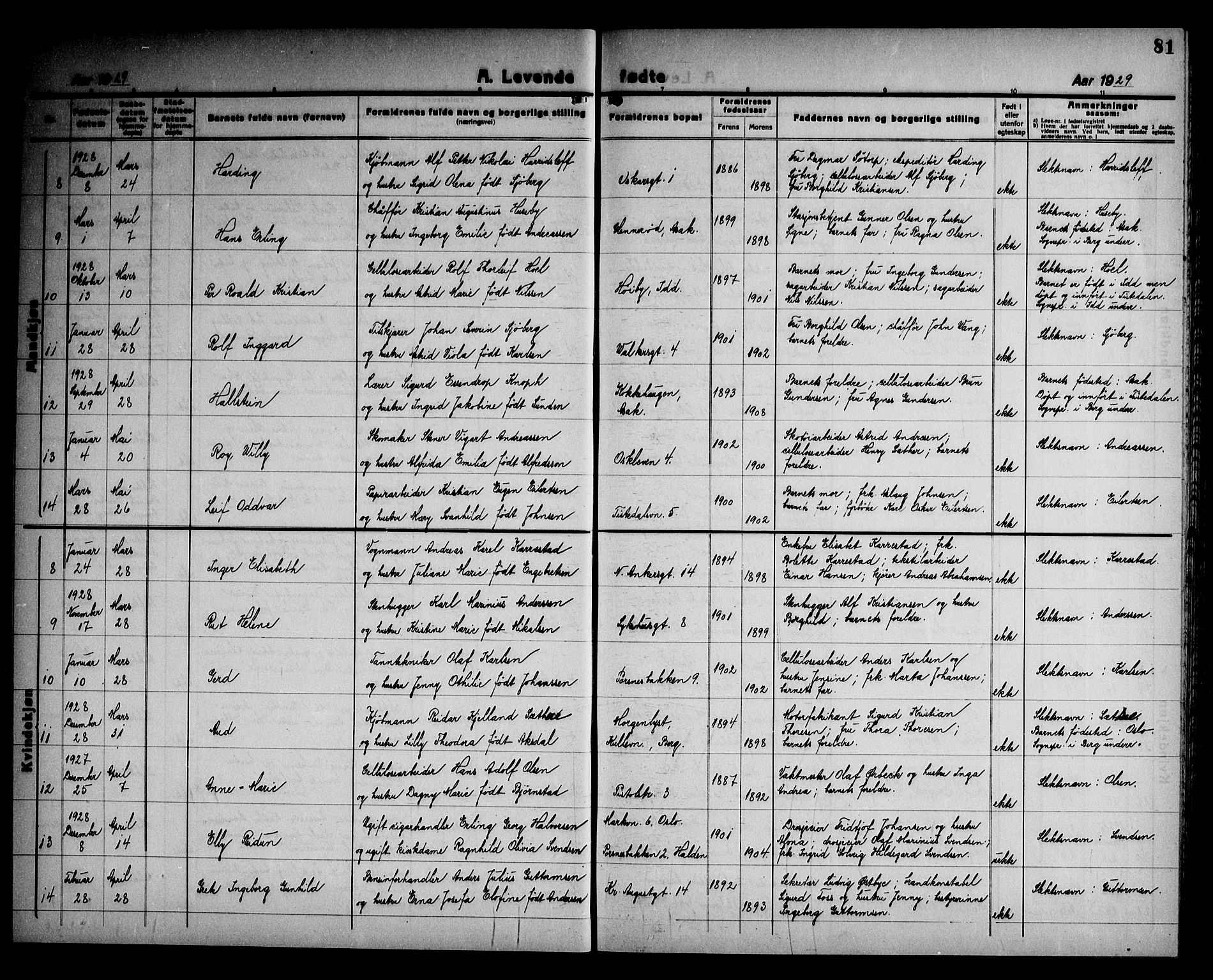 Halden prestekontor Kirkebøker, AV/SAO-A-10909/G/Ga/L0012: Parish register (copy) no. 12, 1923-1946, p. 81