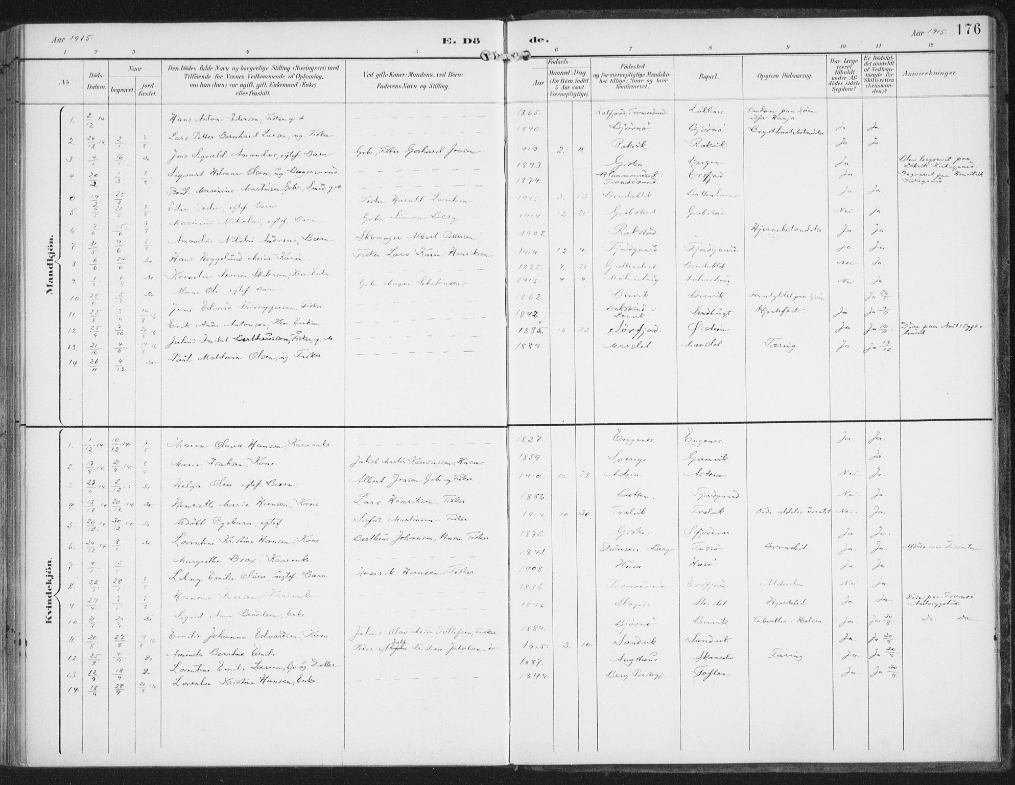 Lenvik sokneprestembete, AV/SATØ-S-1310/H/Ha/Haa/L0015kirke: Parish register (official) no. 15, 1896-1915, p. 176