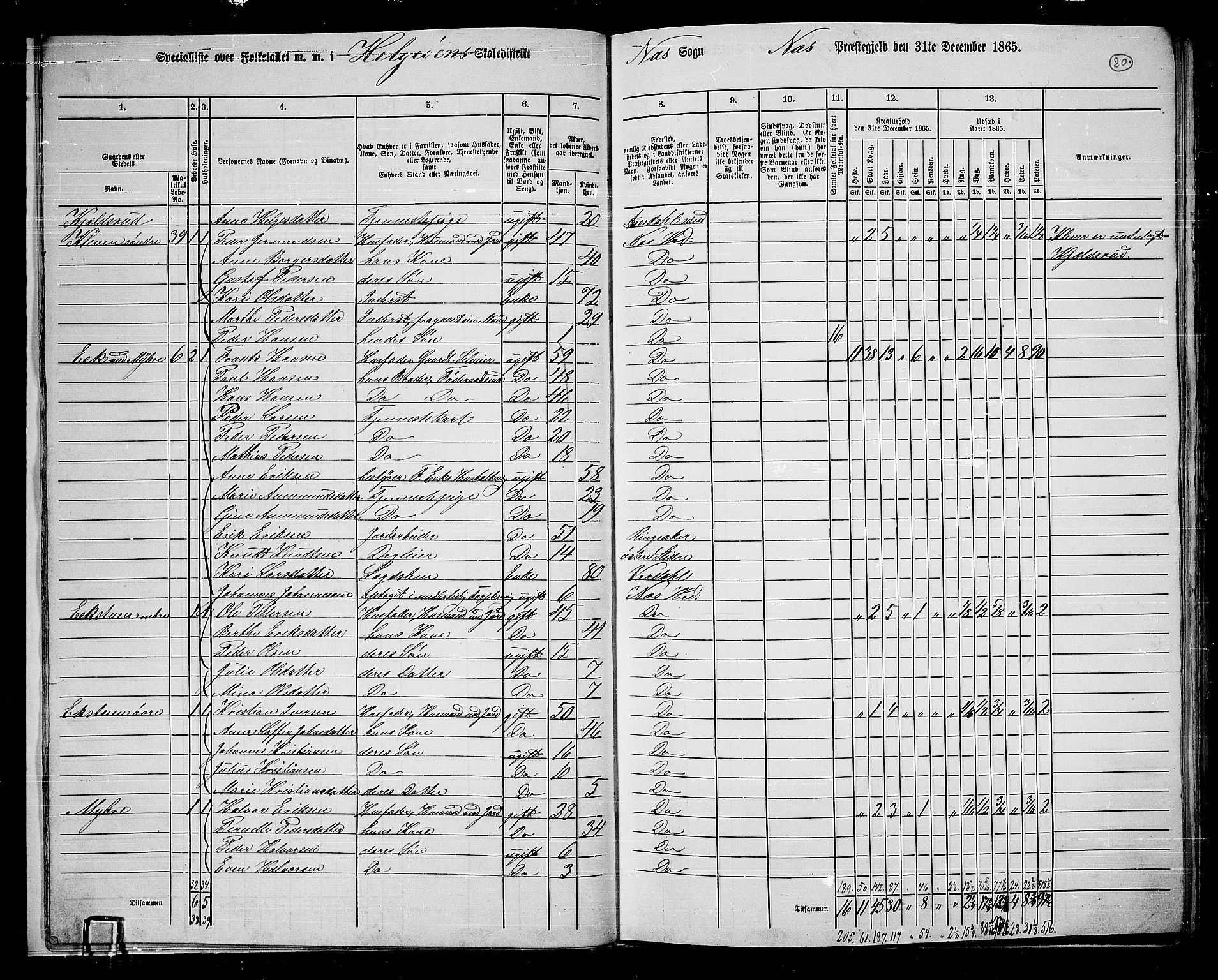 RA, 1865 census for Nes, 1865, p. 18