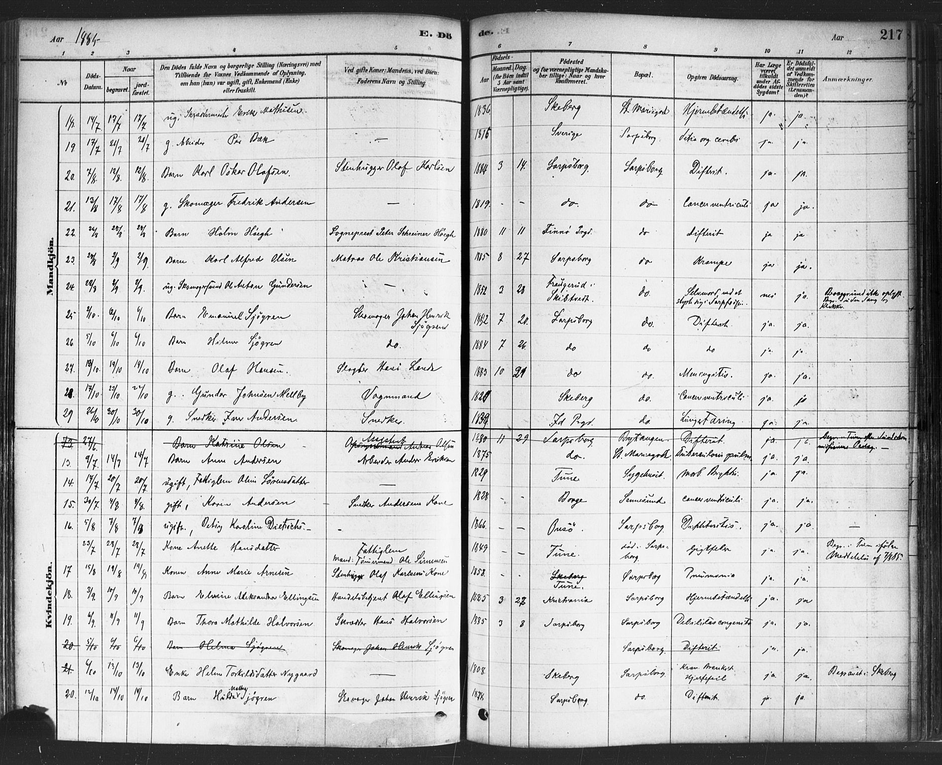 Sarpsborg prestekontor Kirkebøker, AV/SAO-A-2006/F/Fa/L0003: Parish register (official) no. 3, 1878-1891, p. 217