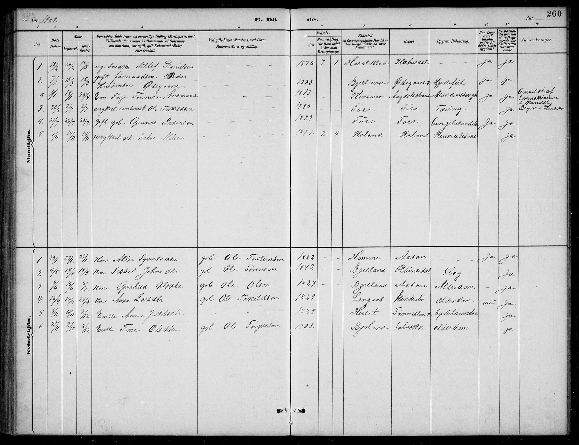 Bjelland sokneprestkontor, AV/SAK-1111-0005/F/Fb/Fba/L0005: Parish register (copy) no. B 5, 1887-1923, p. 260