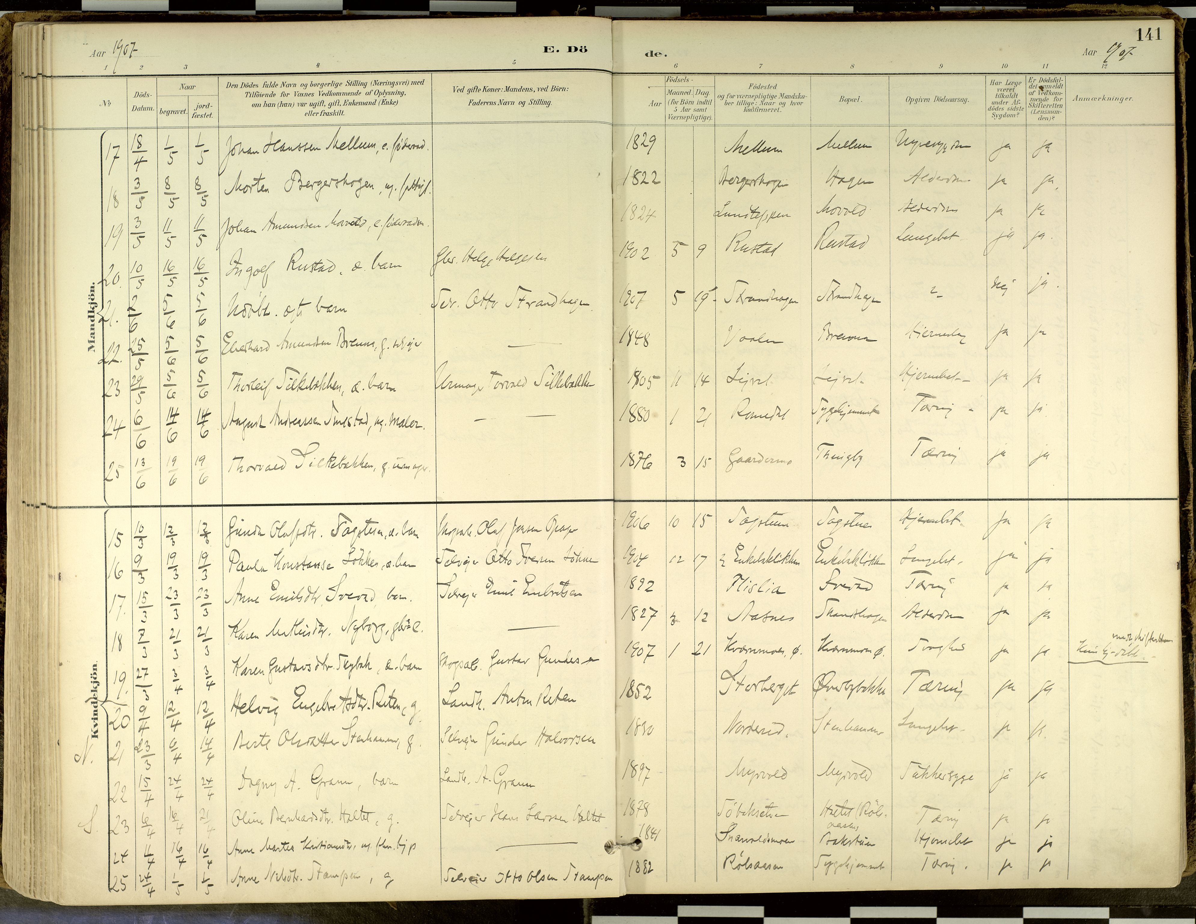 Elverum prestekontor, AV/SAH-PREST-044/H/Ha/Haa/L0018: Parish register (official) no. 18, 1894-1914, p. 141