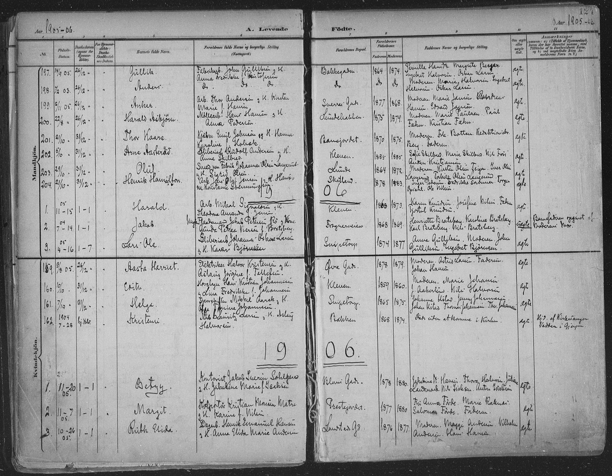 Skien kirkebøker, AV/SAKO-A-302/F/Fa/L0011: Parish register (official) no. 11, 1900-1907, p. 124