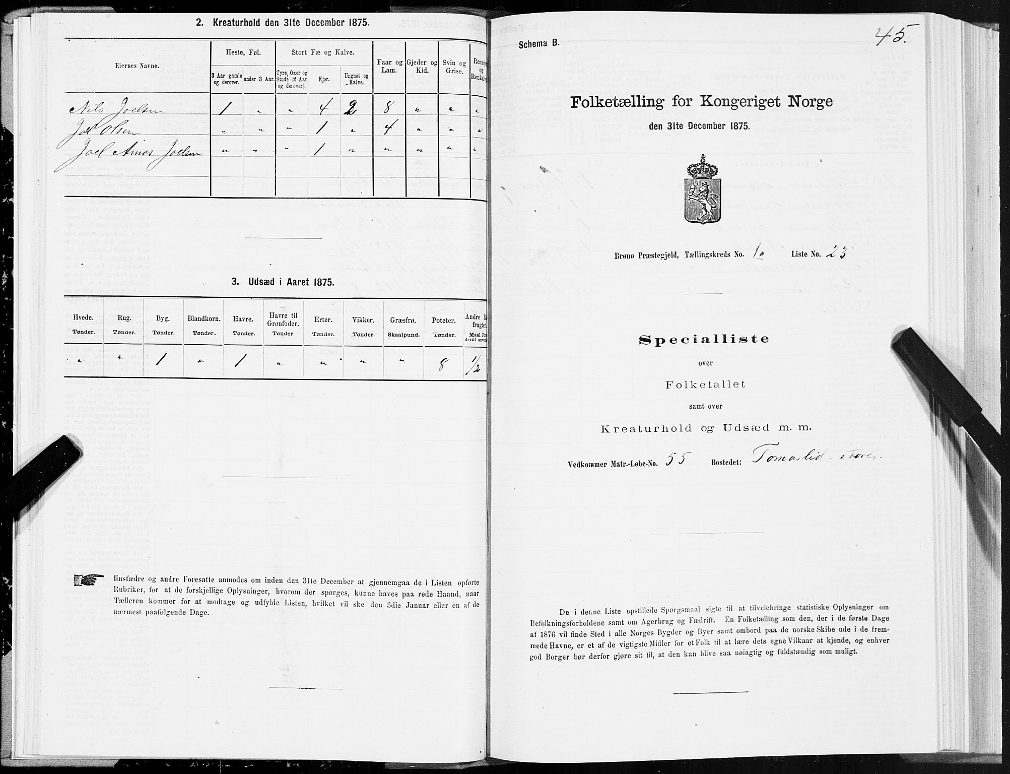 SAT, 1875 census for 1814P Brønnøy, 1875, p. 1045