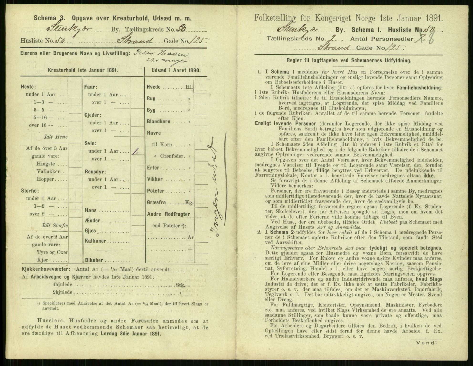 RA, 1891 census for 1702 Steinkjer, 1891, p. 356