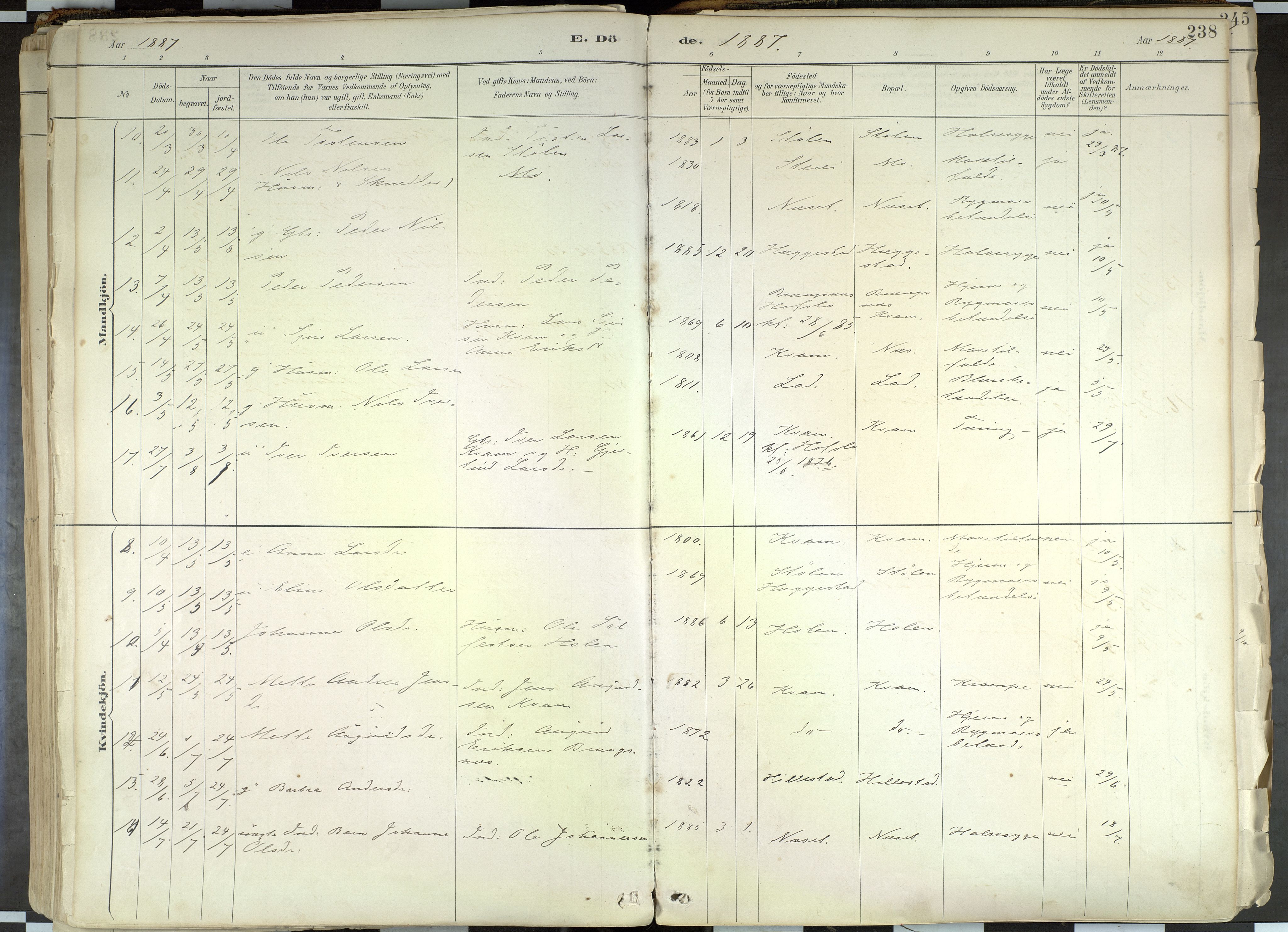 Hafslo sokneprestembete, AV/SAB-A-80301/H/Haa/Haab/L0001: Parish register (official) no. B 1, 1886-1945, p. 238