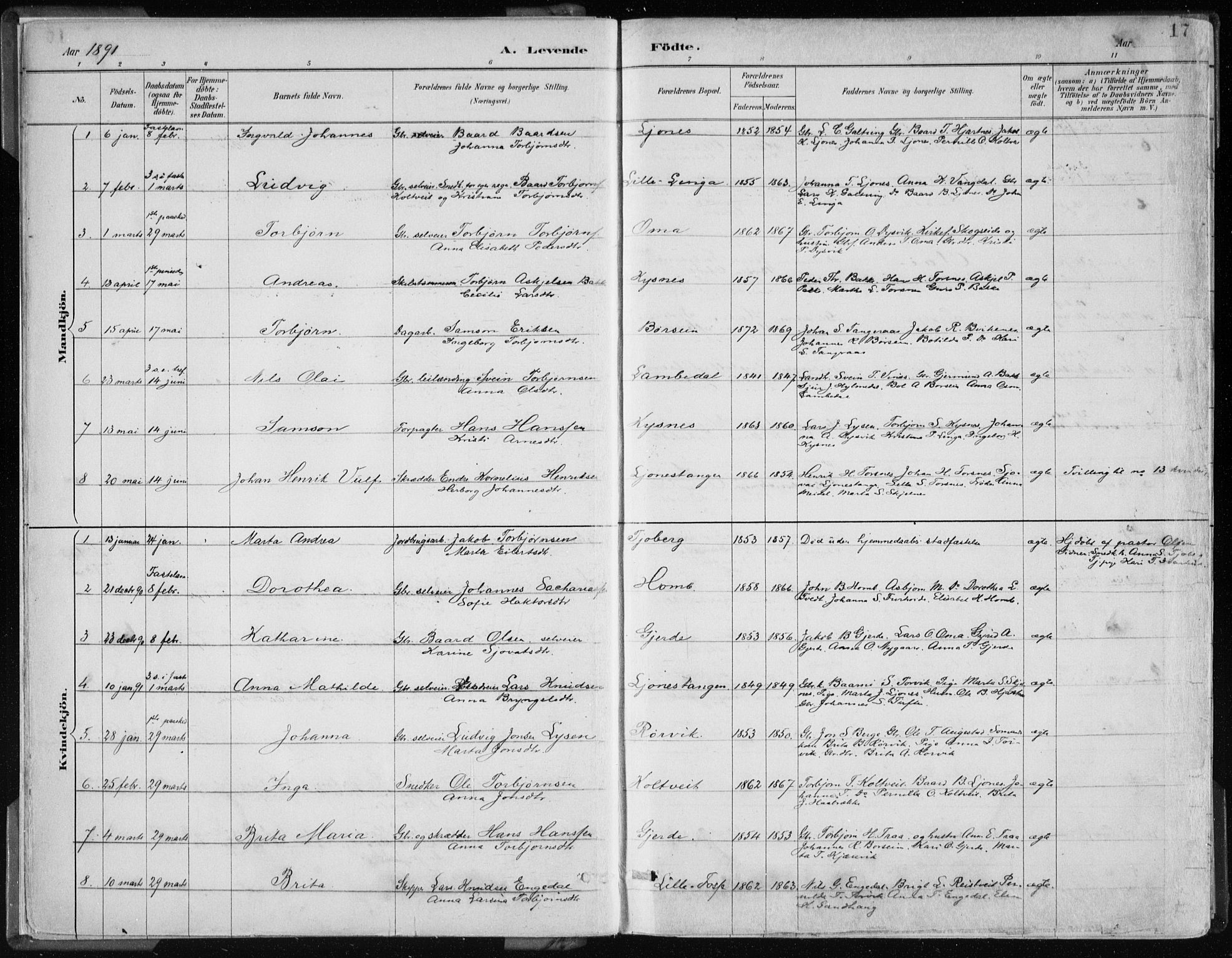 Strandebarm sokneprestembete, AV/SAB-A-78401/H/Haa: Parish register (official) no. B  1, 1886-1908, p. 17