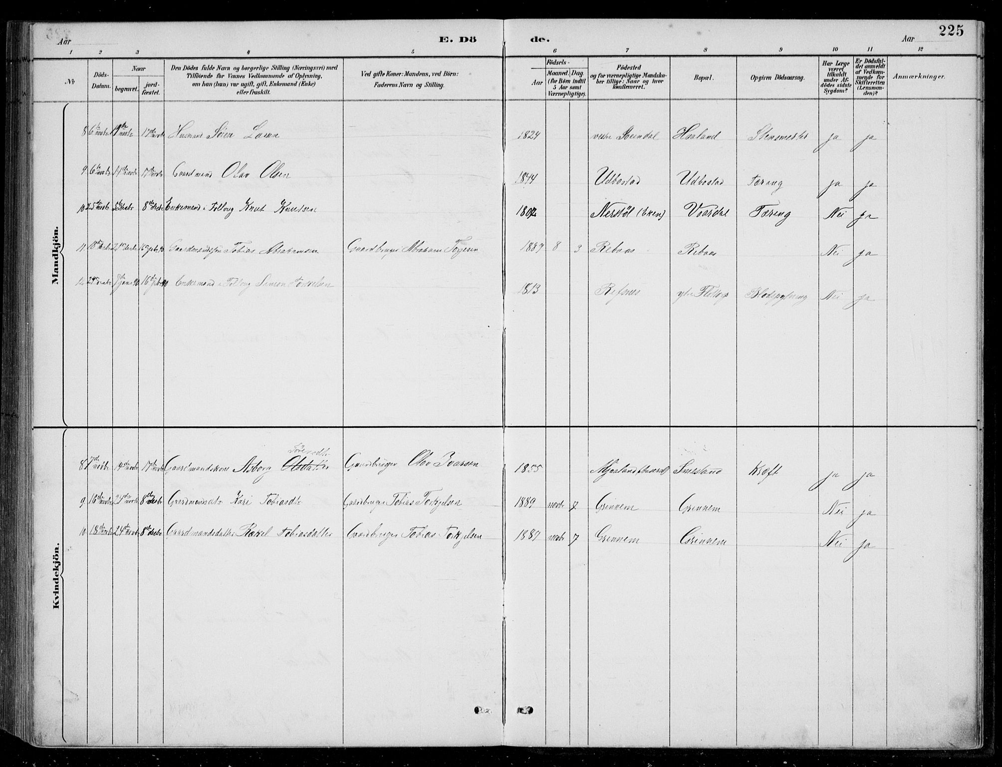 Bjelland sokneprestkontor, SAK/1111-0005/F/Fb/Fbc/L0003: Parish register (copy) no. B 3, 1887-1924, p. 225
