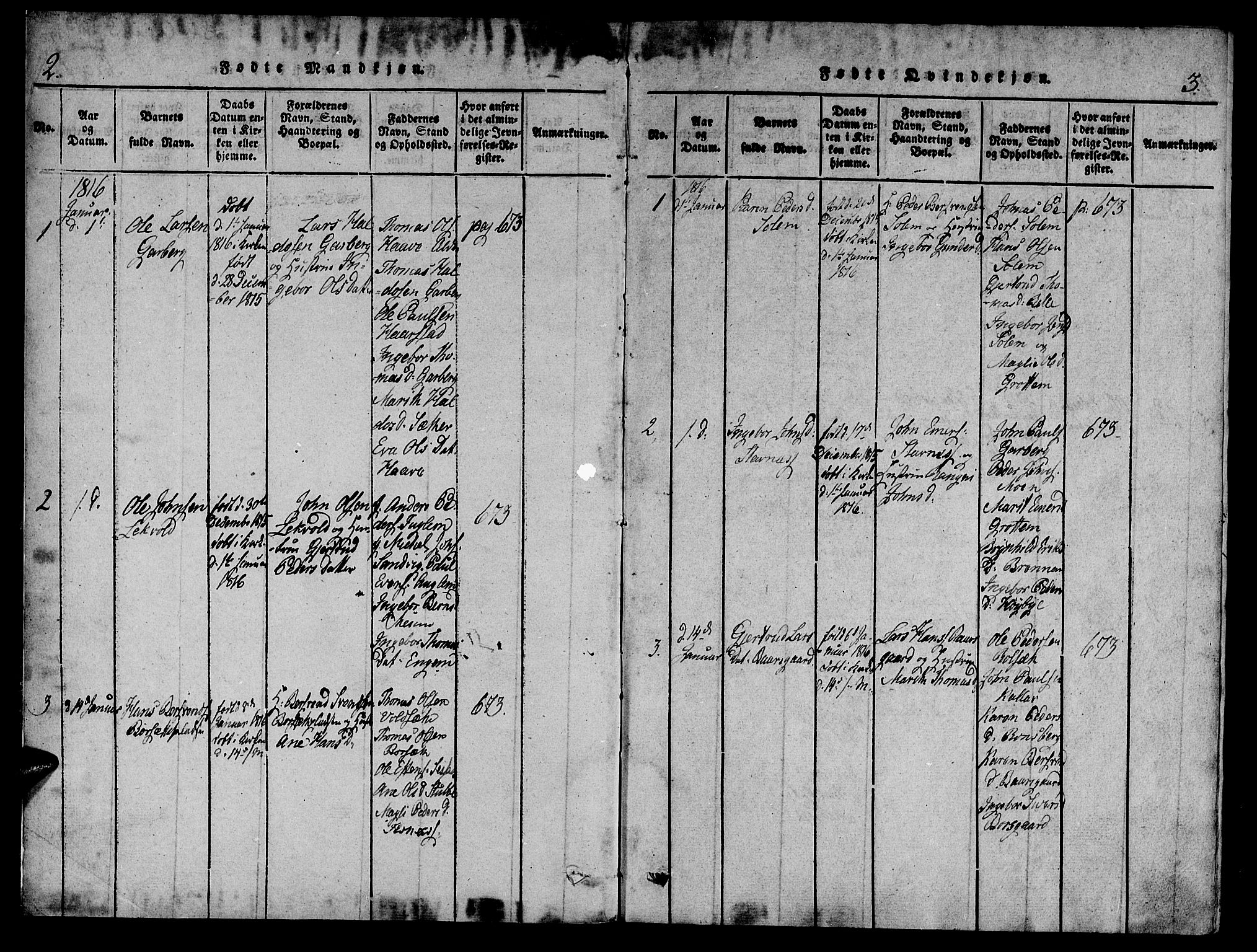 Ministerialprotokoller, klokkerbøker og fødselsregistre - Sør-Trøndelag, SAT/A-1456/695/L1141: Parish register (official) no. 695A04 /1, 1816-1824, p. 2-3