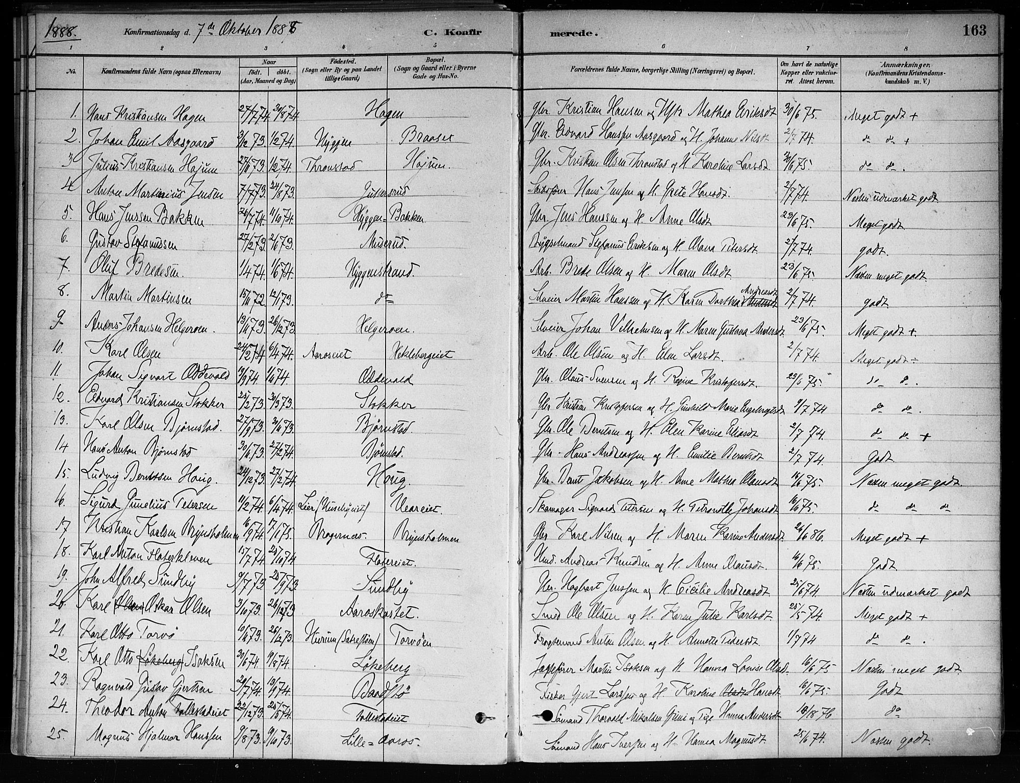 Røyken kirkebøker, SAKO/A-241/F/Fa/L0008: Parish register (official) no. 8, 1880-1897, p. 163