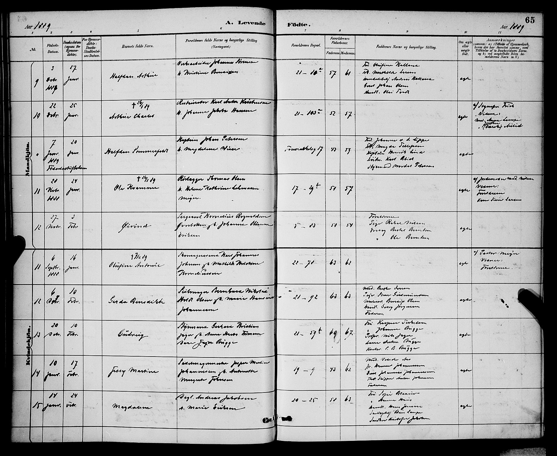 Korskirken sokneprestembete, AV/SAB-A-76101/H/Hab: Parish register (copy) no. B 9, 1887-1896, p. 65