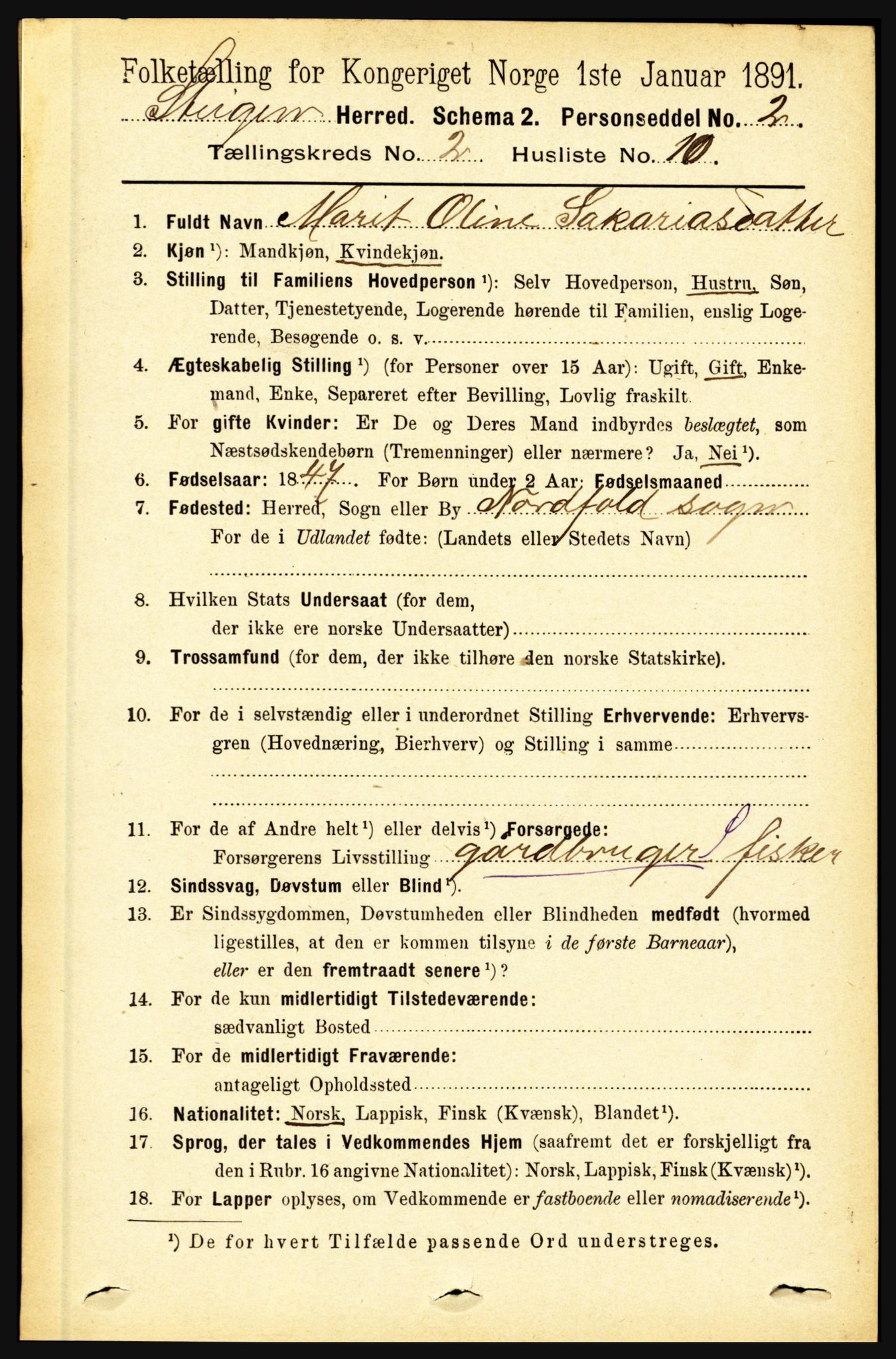 RA, 1891 census for 1848 Steigen, 1891, p. 699