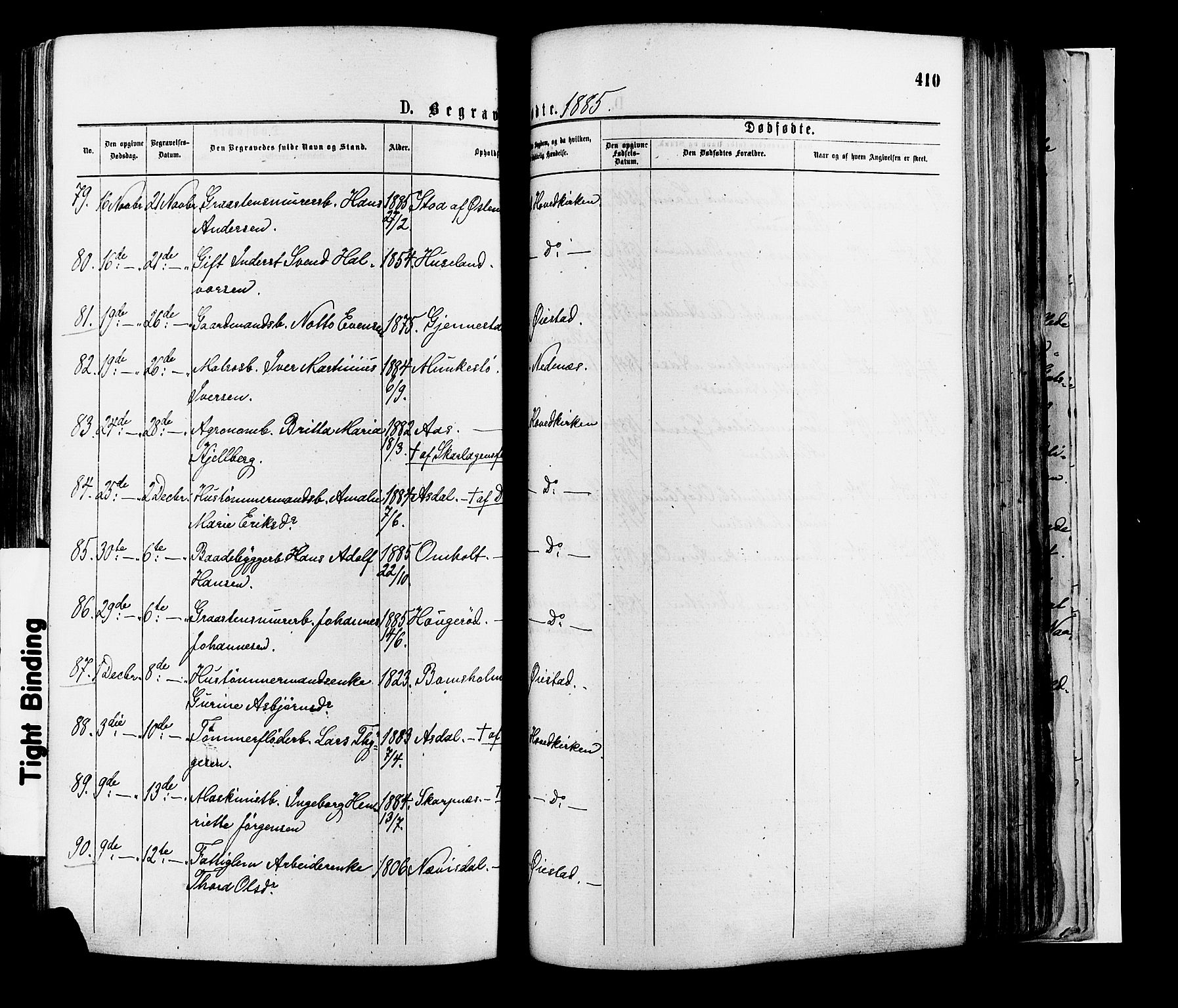 Øyestad sokneprestkontor, AV/SAK-1111-0049/F/Fa/L0016: Parish register (official) no. A 16, 1874-1886, p. 410