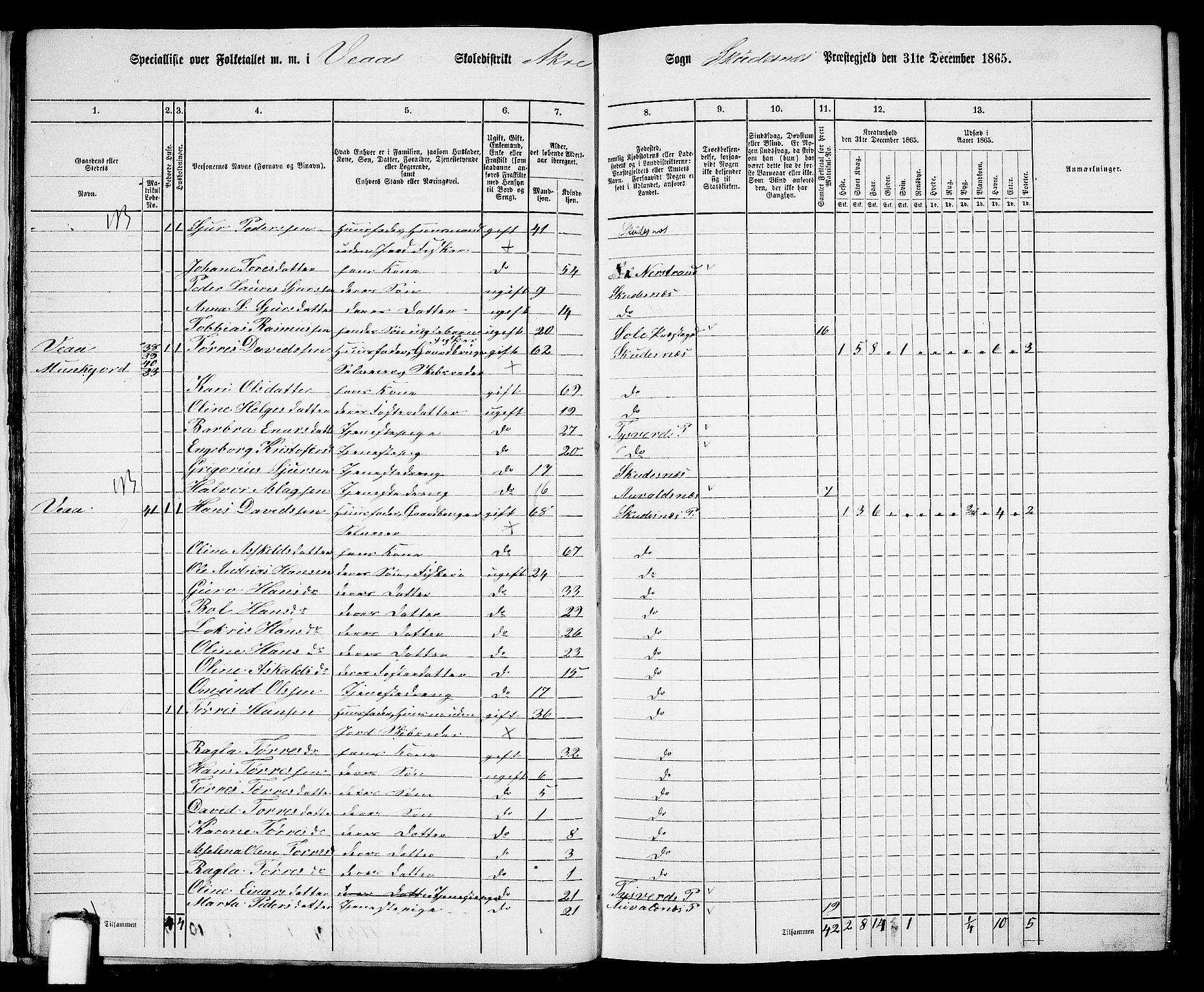 RA, 1865 census for Skudenes, 1865, p. 27