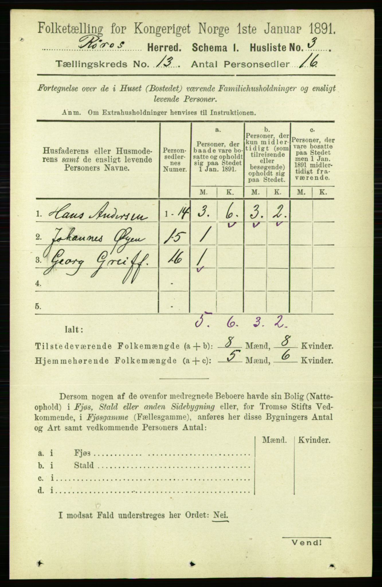 RA, 1891 census for 1640 Røros, 1891, p. 2511