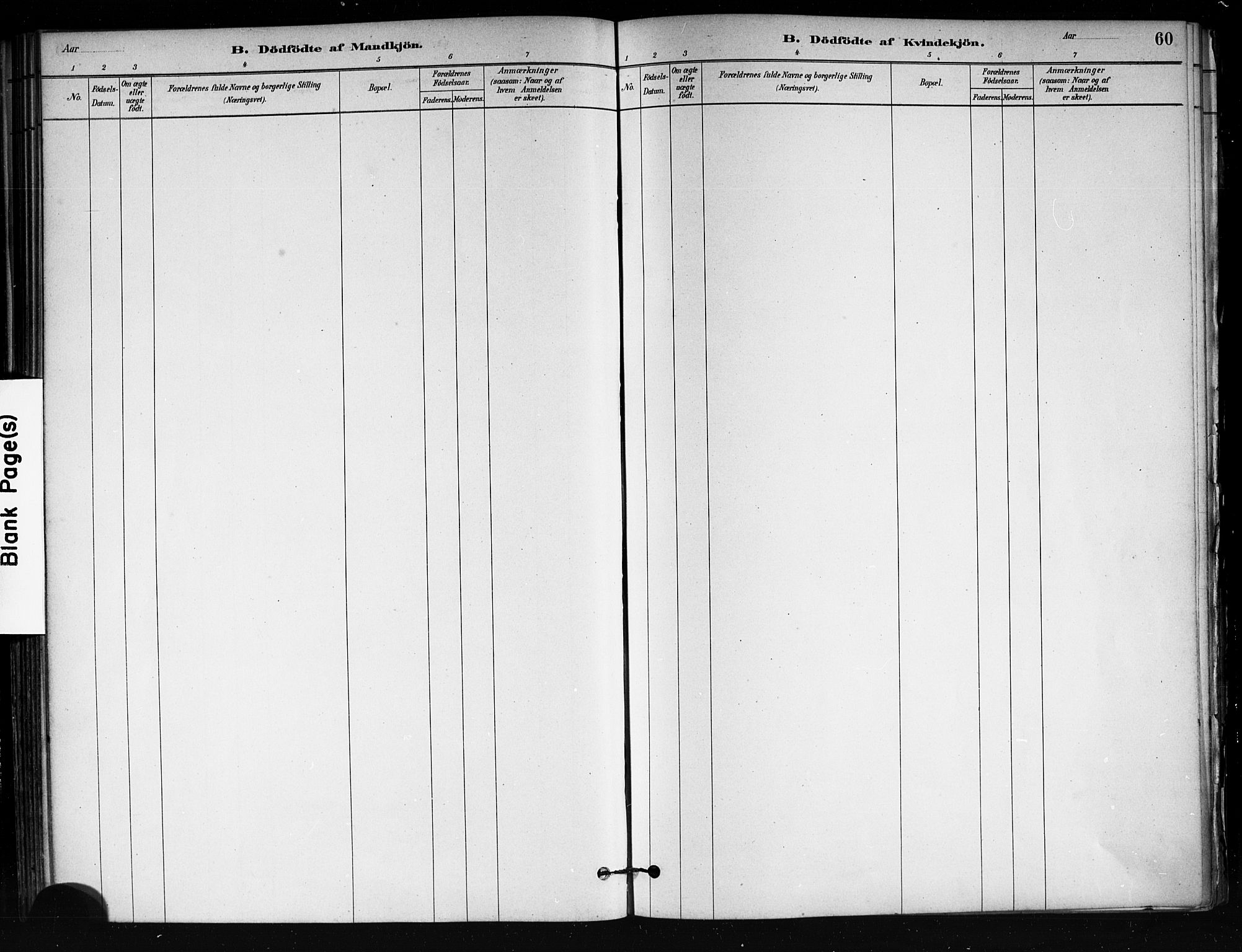 Tjøme kirkebøker, AV/SAKO-A-328/F/Fa/L0001: Parish register (official) no. I 1, 1879-1890, p. 60