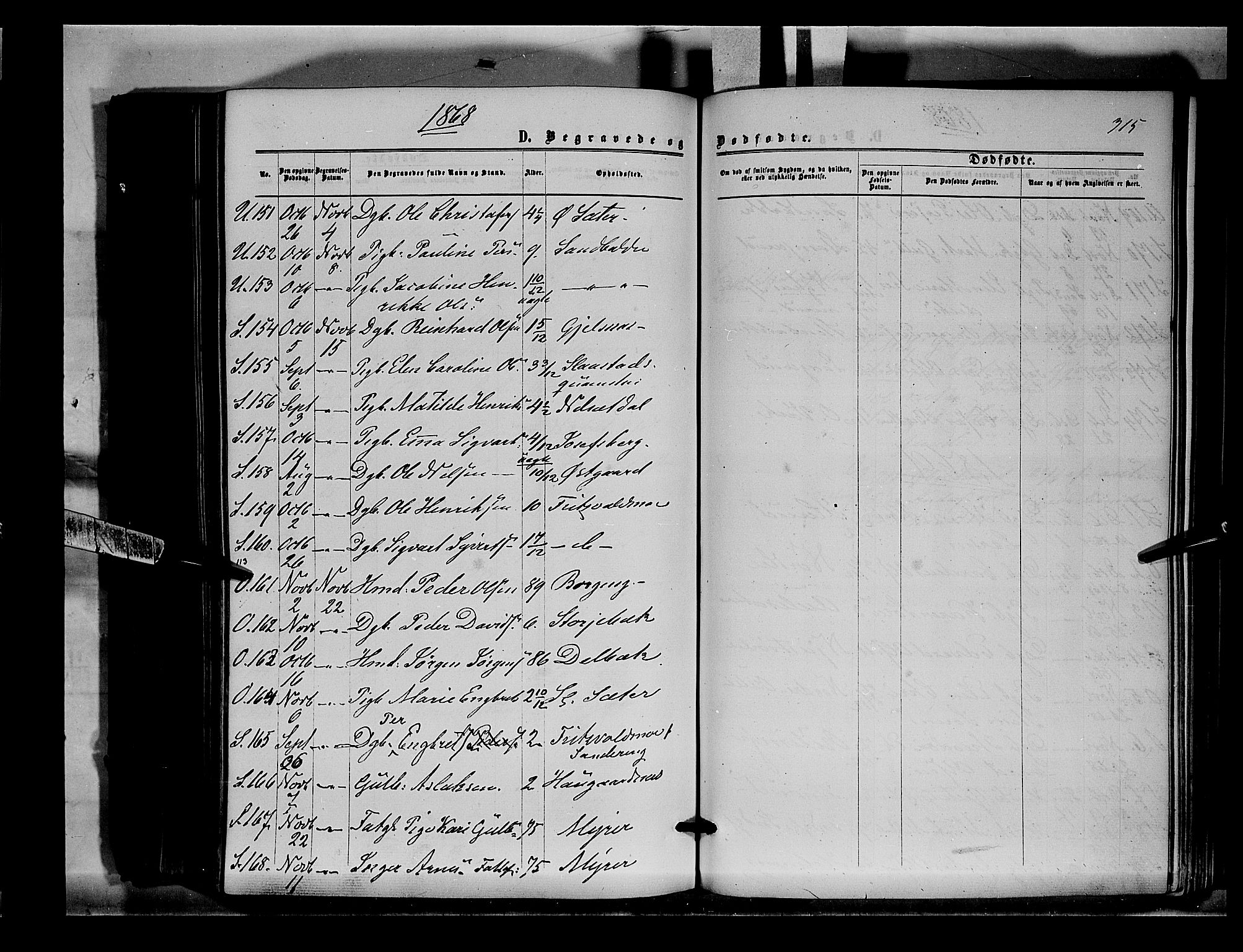 Sør-Odal prestekontor, SAH/PREST-030/H/Ha/Haa/L0003: Parish register (official) no. 3, 1864-1870, p. 315