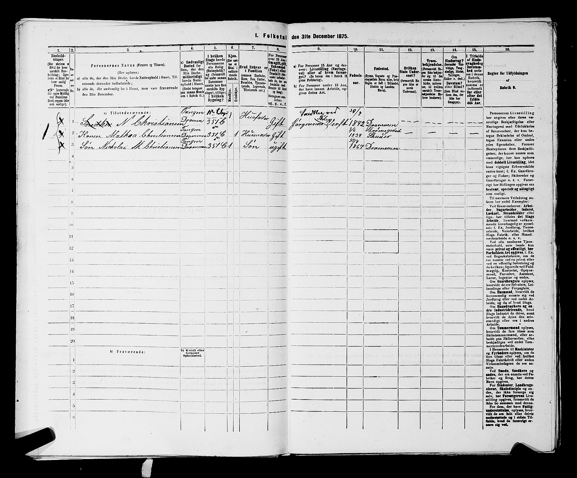 SAKO, 1875 census for 0602 Drammen, 1875, p. 3420