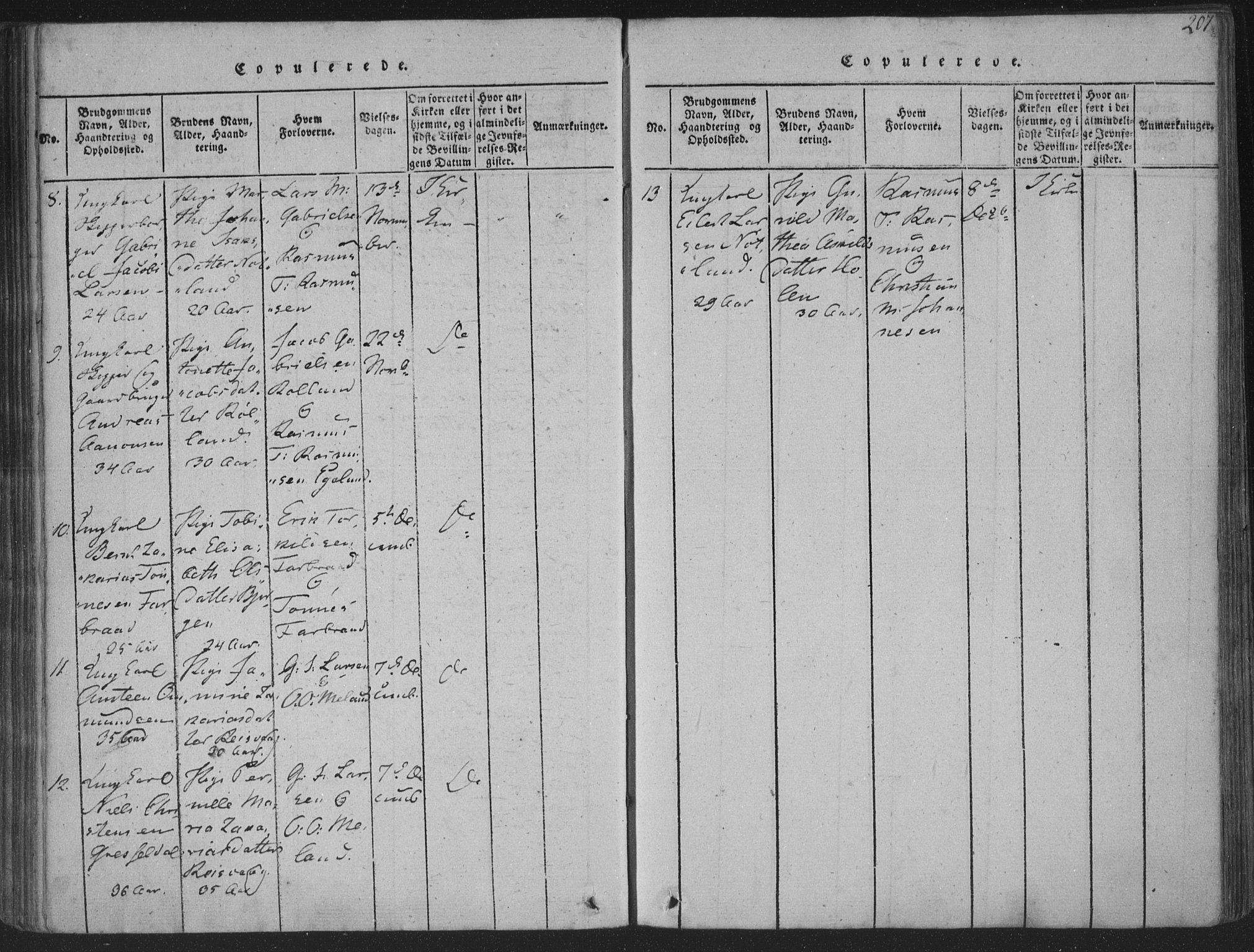 Herad sokneprestkontor, AV/SAK-1111-0018/F/Fa/Fab/L0002: Parish register (official) no. A 2, 1816-1844, p. 207