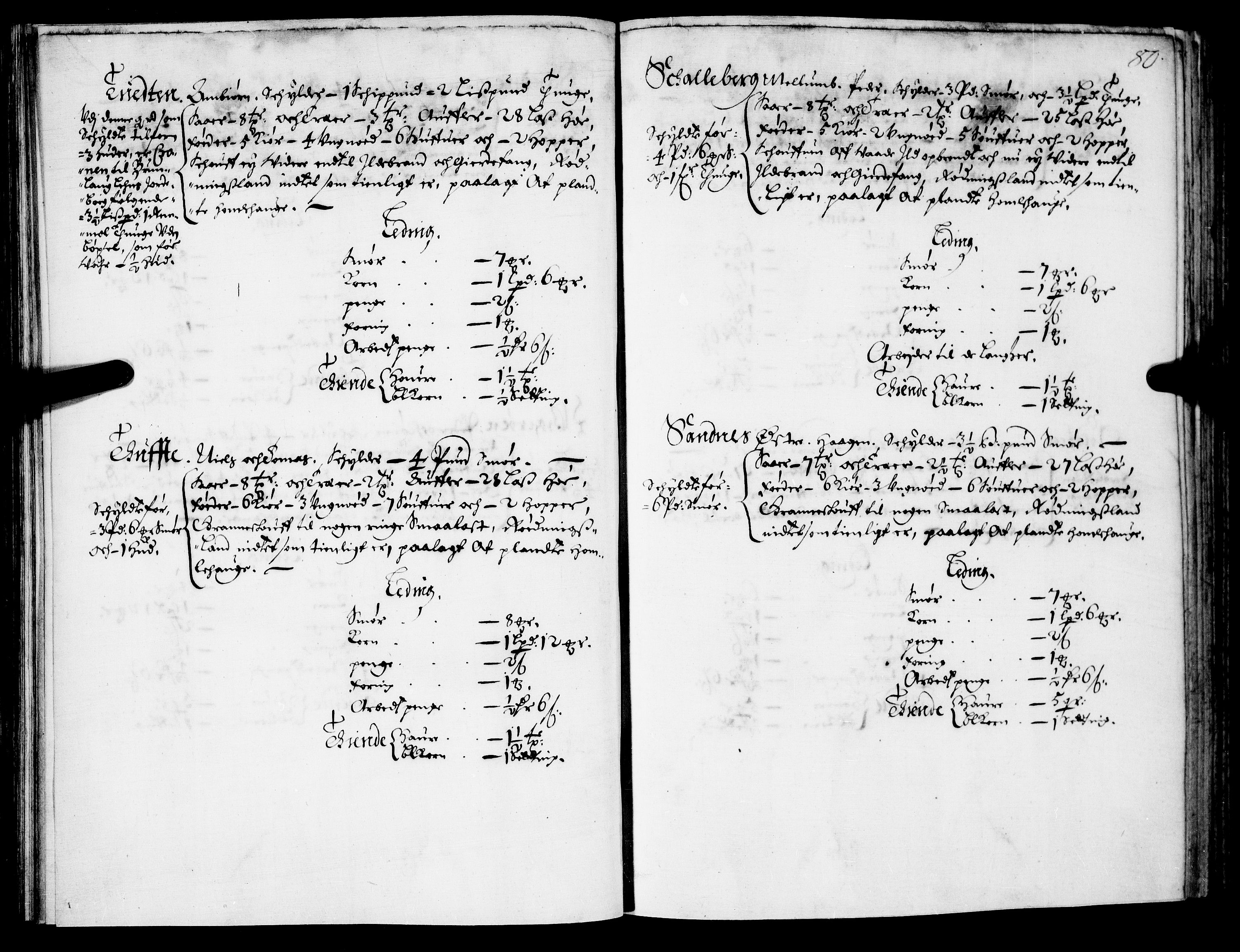 Rentekammeret inntil 1814, Realistisk ordnet avdeling, AV/RA-EA-4070/N/Nb/Nba/L0021: Brunla len, 1667, p. 79b-80a