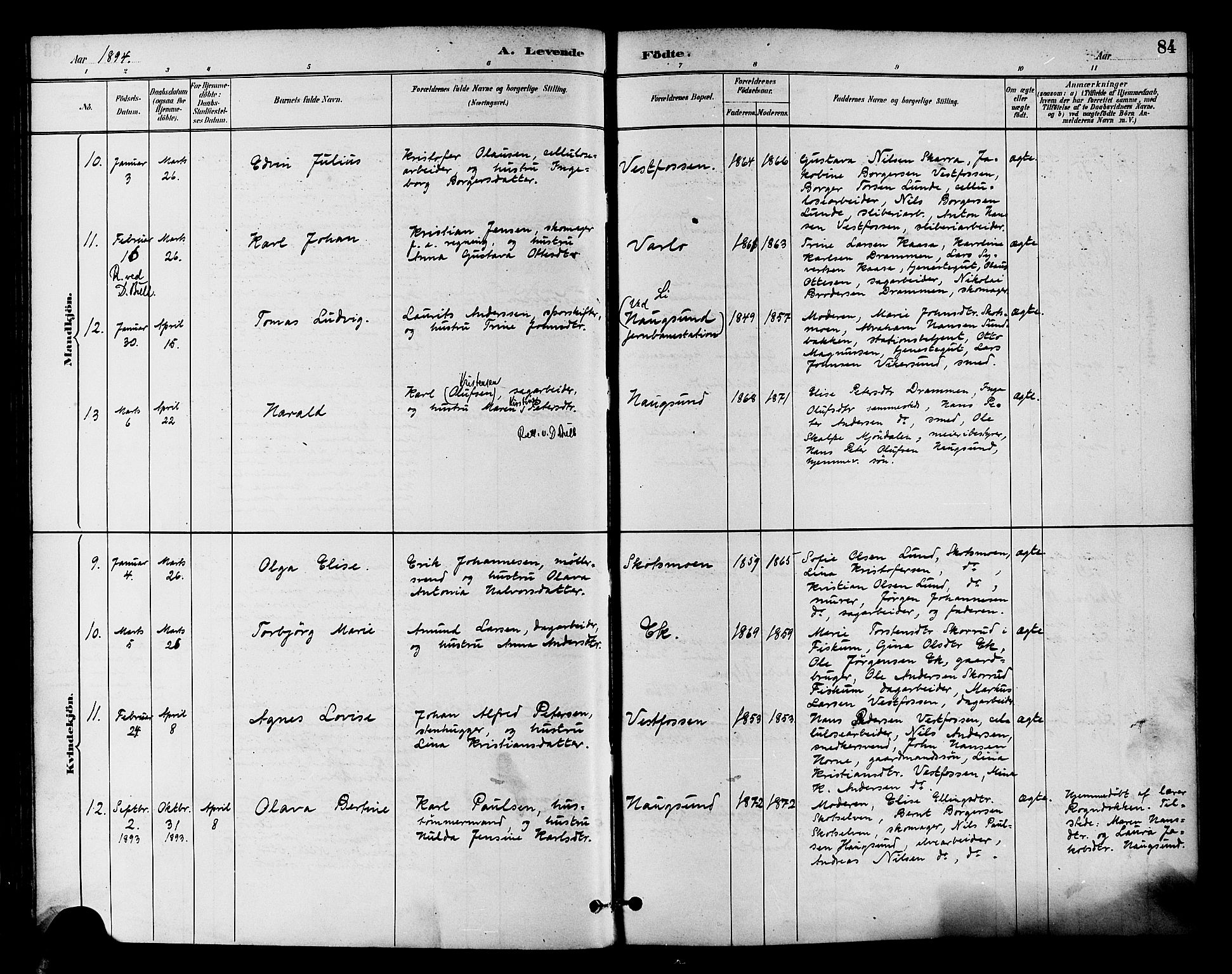 Eiker kirkebøker, SAKO/A-4/F/Fb/L0002: Parish register (official) no. II 2, 1889-1896, p. 84