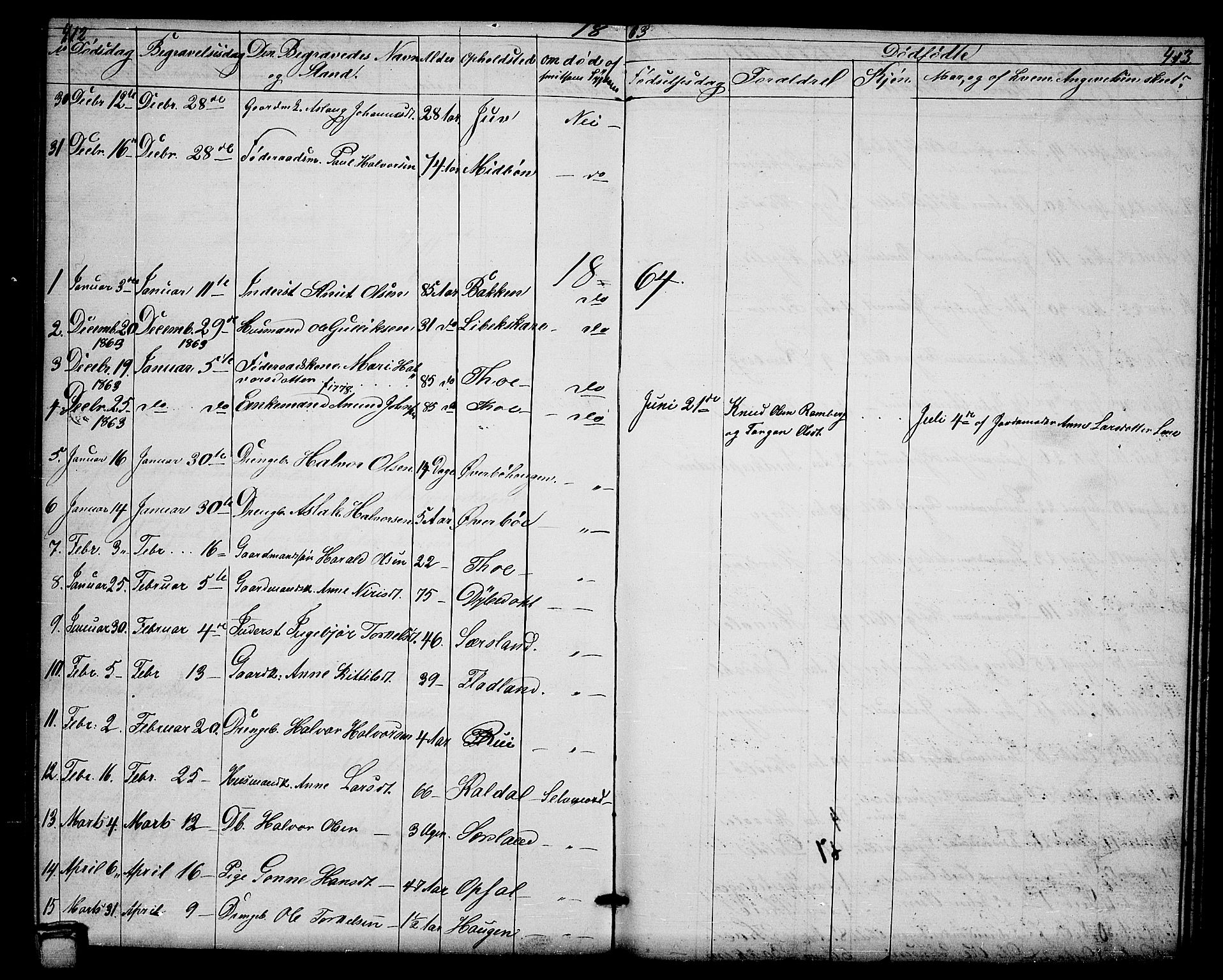 Hjartdal kirkebøker, SAKO/A-270/G/Ga/L0002: Parish register (copy) no. I 2, 1854-1888, p. 412-413