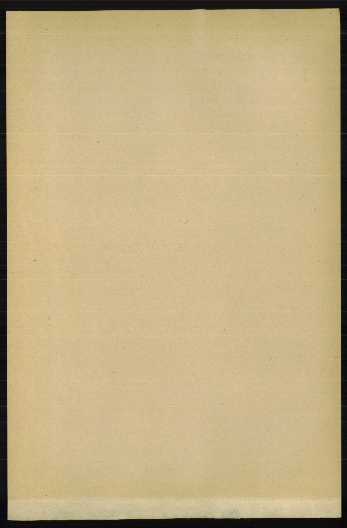 RA, 1891 census for 1045 Bakke, 1891, p. 1077