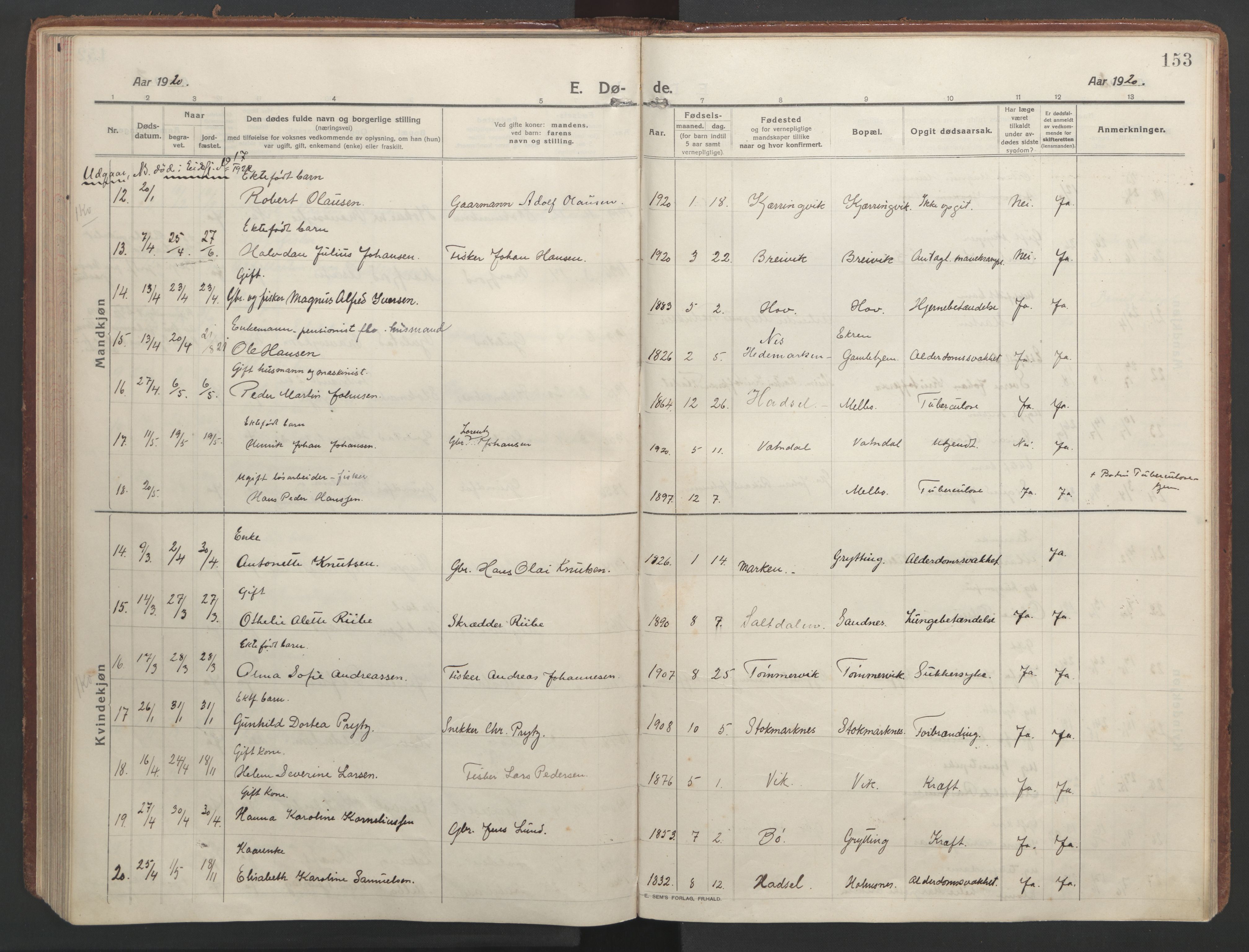 Ministerialprotokoller, klokkerbøker og fødselsregistre - Nordland, AV/SAT-A-1459/888/L1251: Parish register (official) no. 888A17, 1913-1925, p. 153