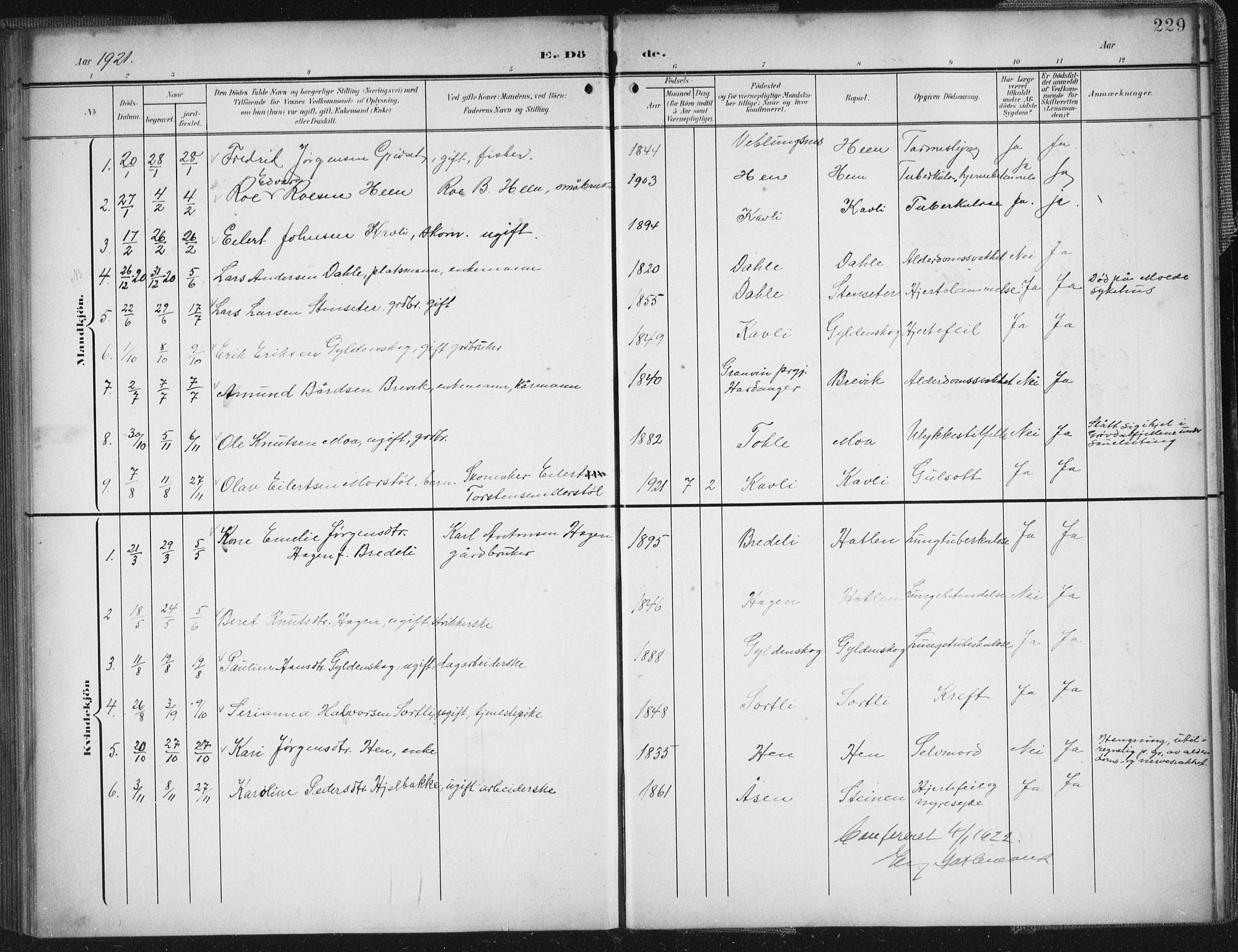 Ministerialprotokoller, klokkerbøker og fødselsregistre - Møre og Romsdal, AV/SAT-A-1454/545/L0589: Parish register (copy) no. 545C03, 1902-1937, p. 229