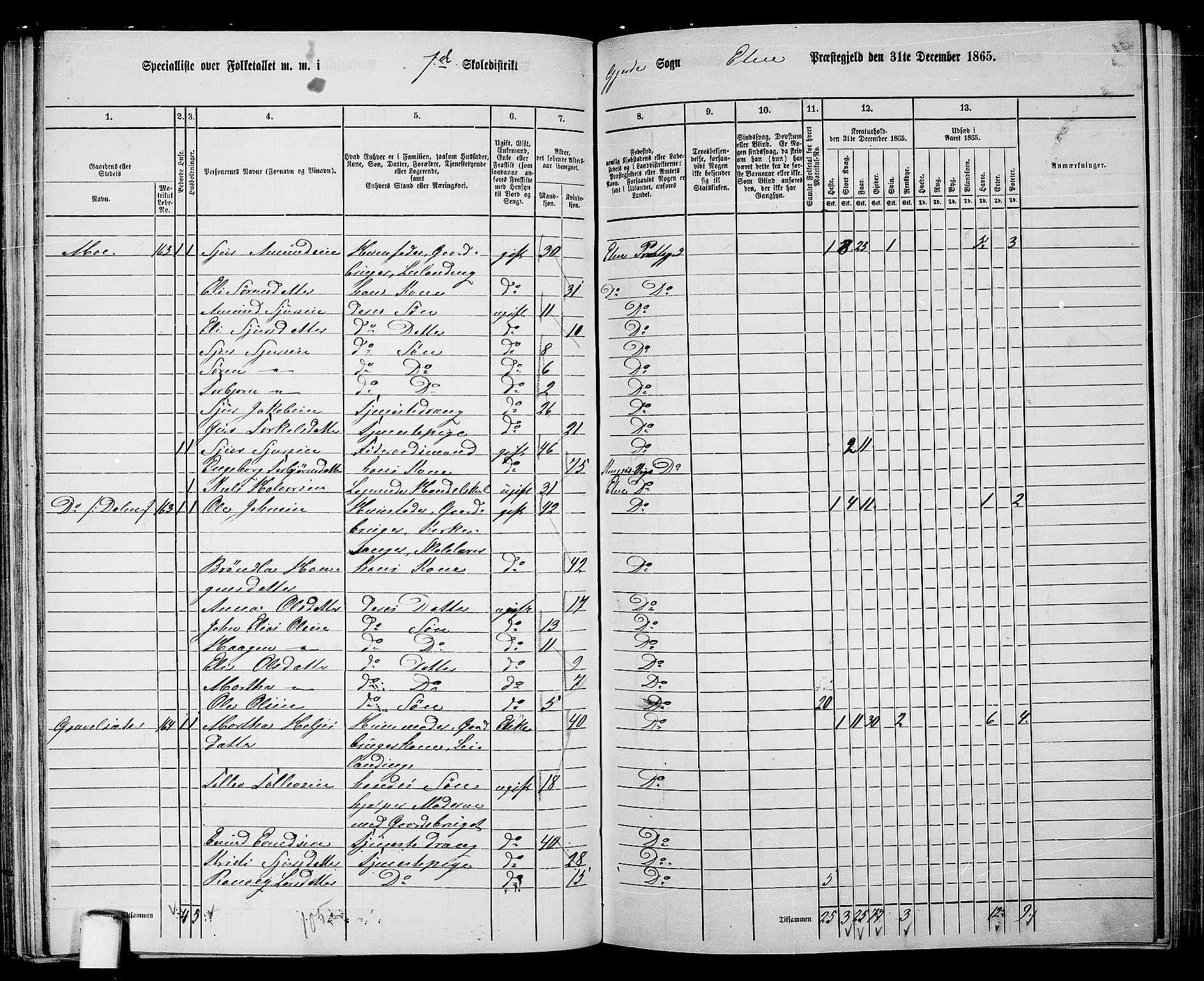 RA, 1865 census for Etne, 1865, p. 119