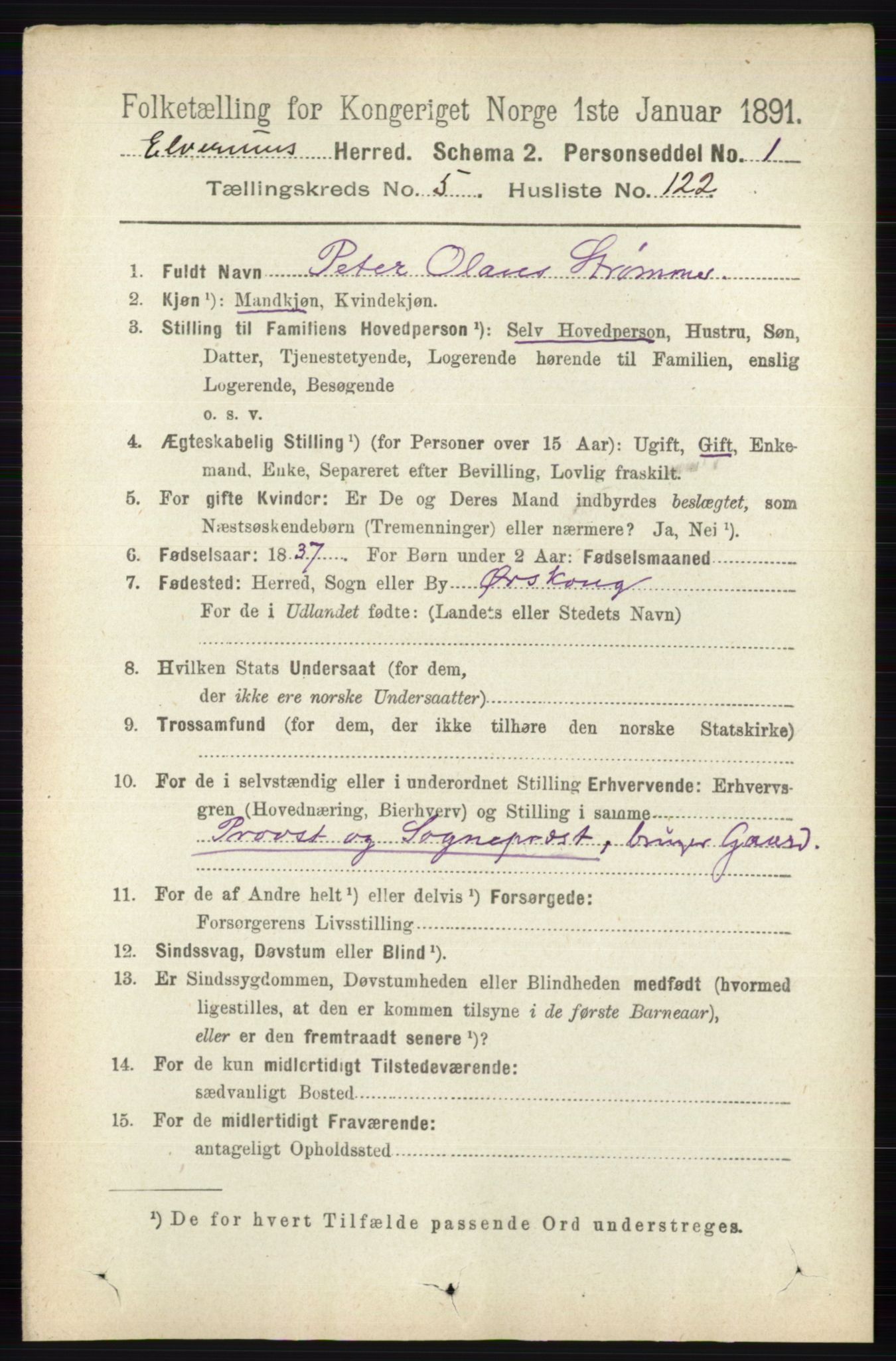 RA, 1891 census for 0427 Elverum, 1891, p. 3992