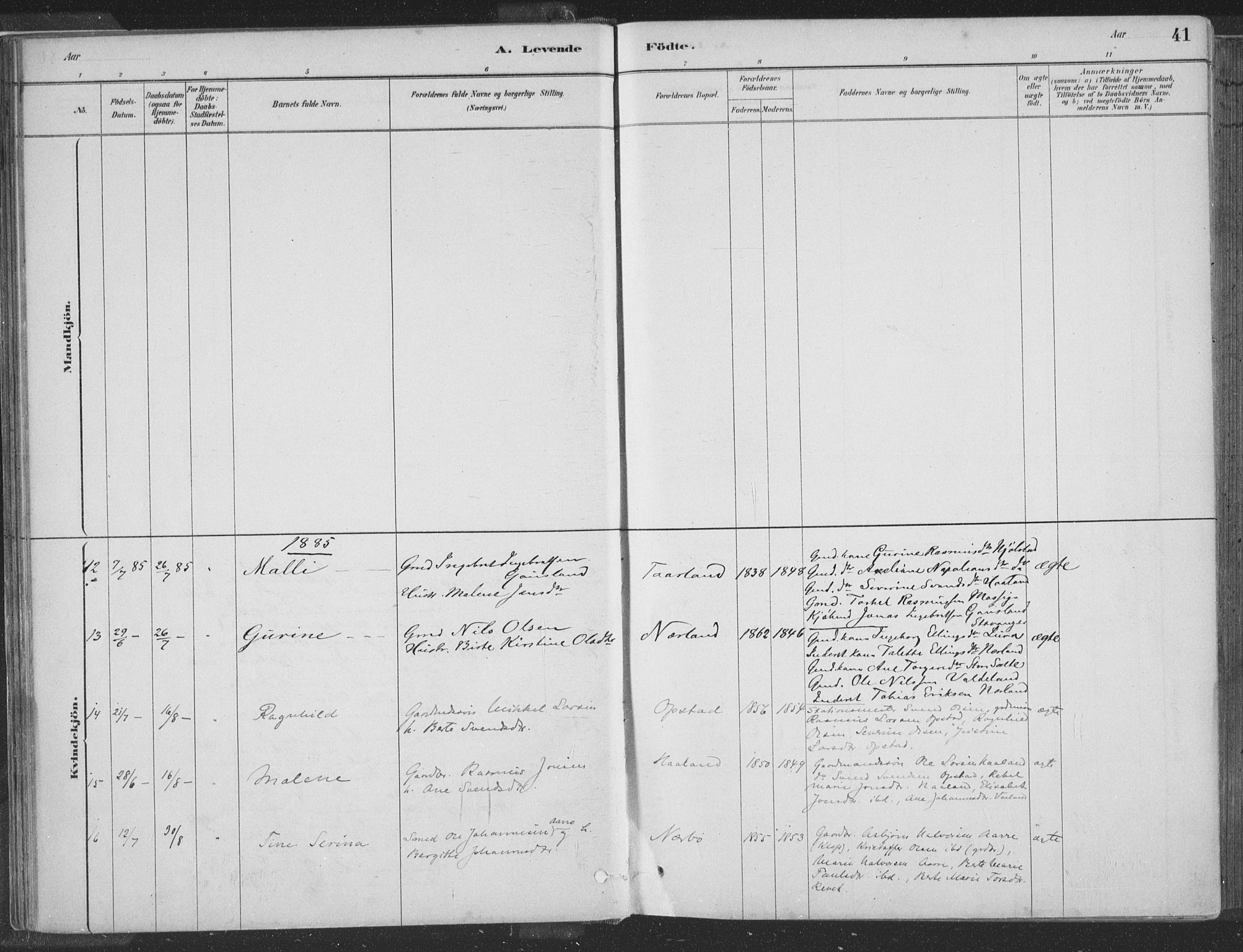 Hå sokneprestkontor, AV/SAST-A-101801/001/30BA/L0010: Parish register (official) no. A 9, 1879-1896, p. 41