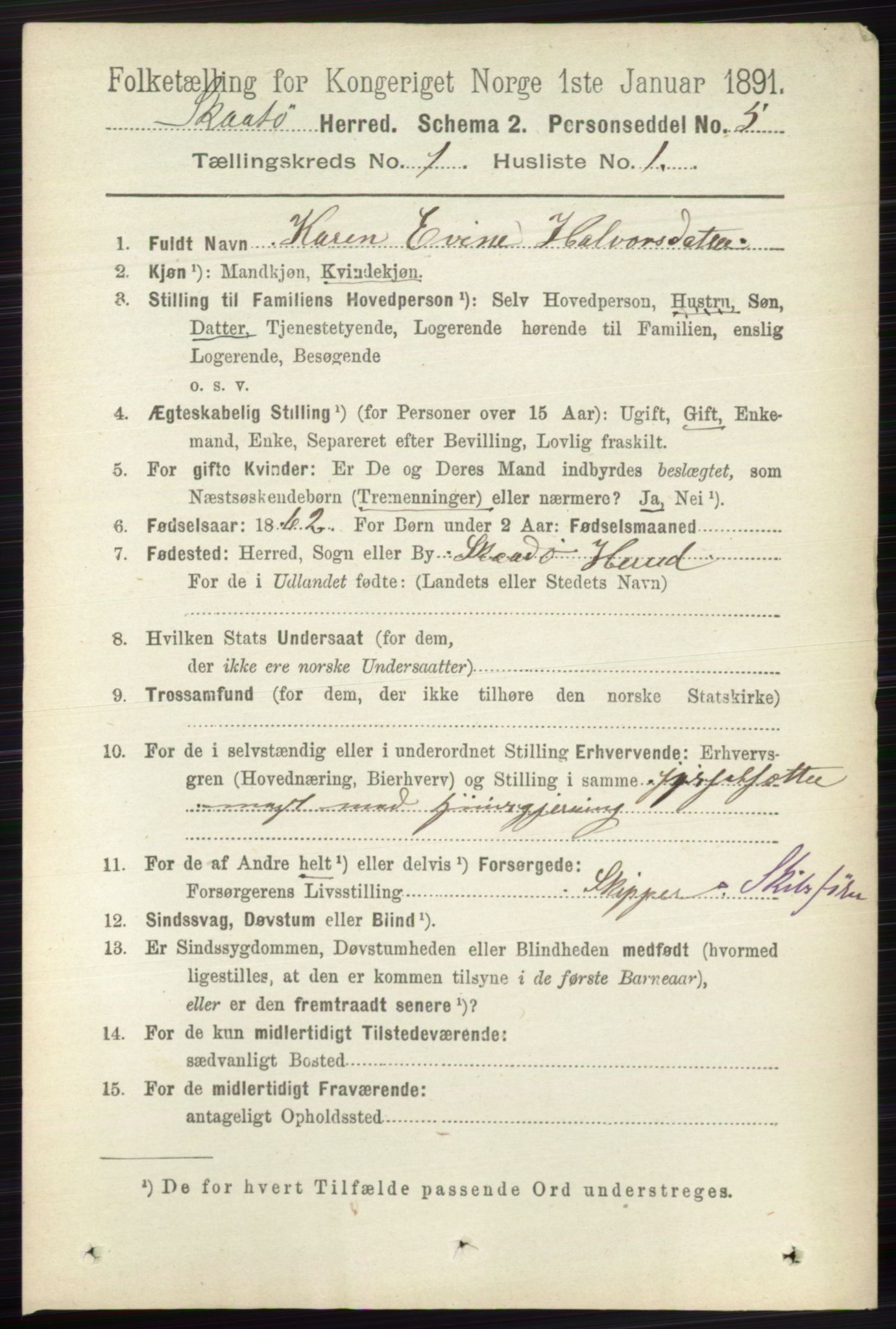 RA, 1891 census for 0815 Skåtøy, 1891, p. 96