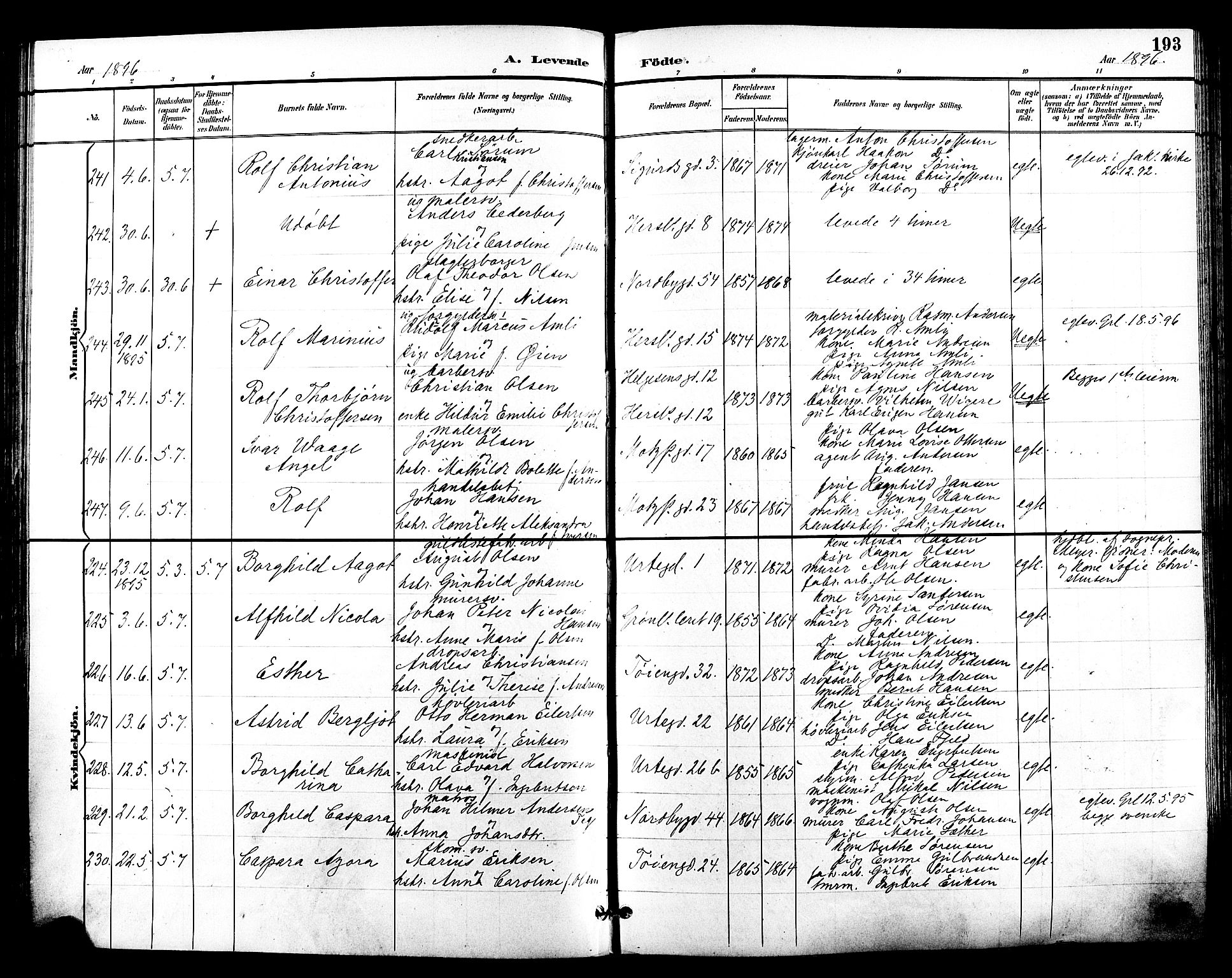 Grønland prestekontor Kirkebøker, SAO/A-10848/F/Fa/L0012: Parish register (official) no. 12, 1893-1900, p. 193